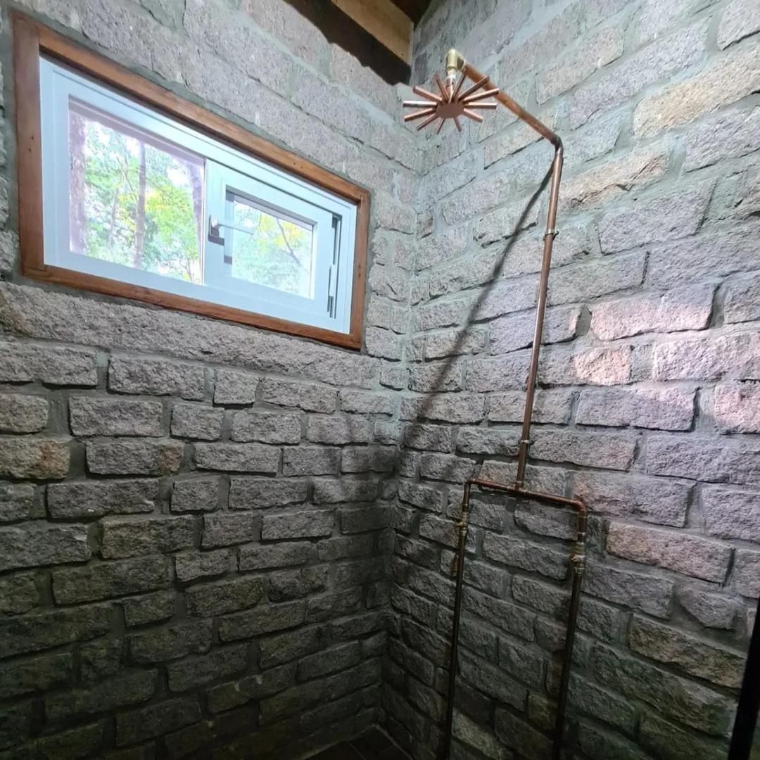 Bosque São Francisco