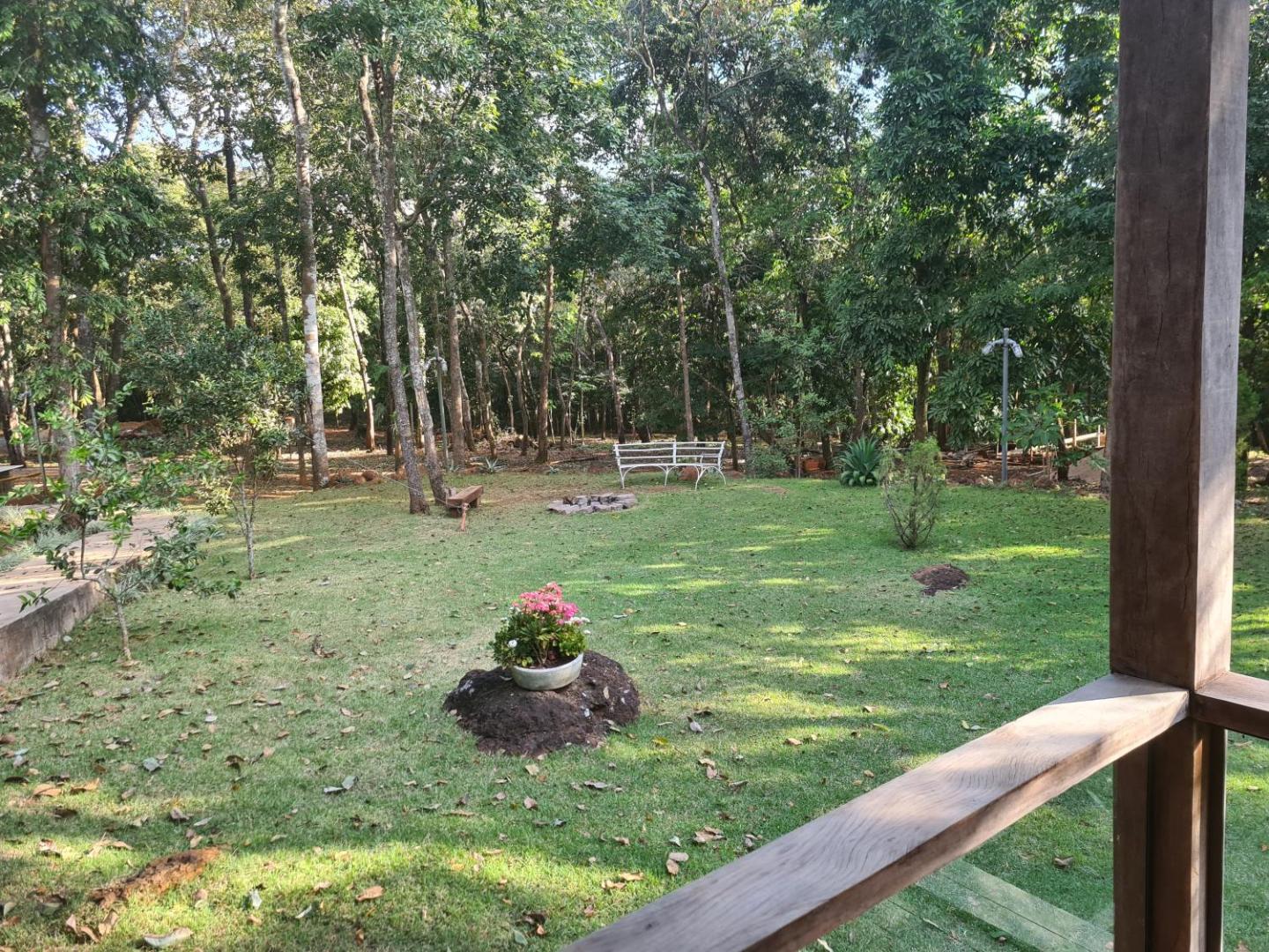 Bosque São Francisco