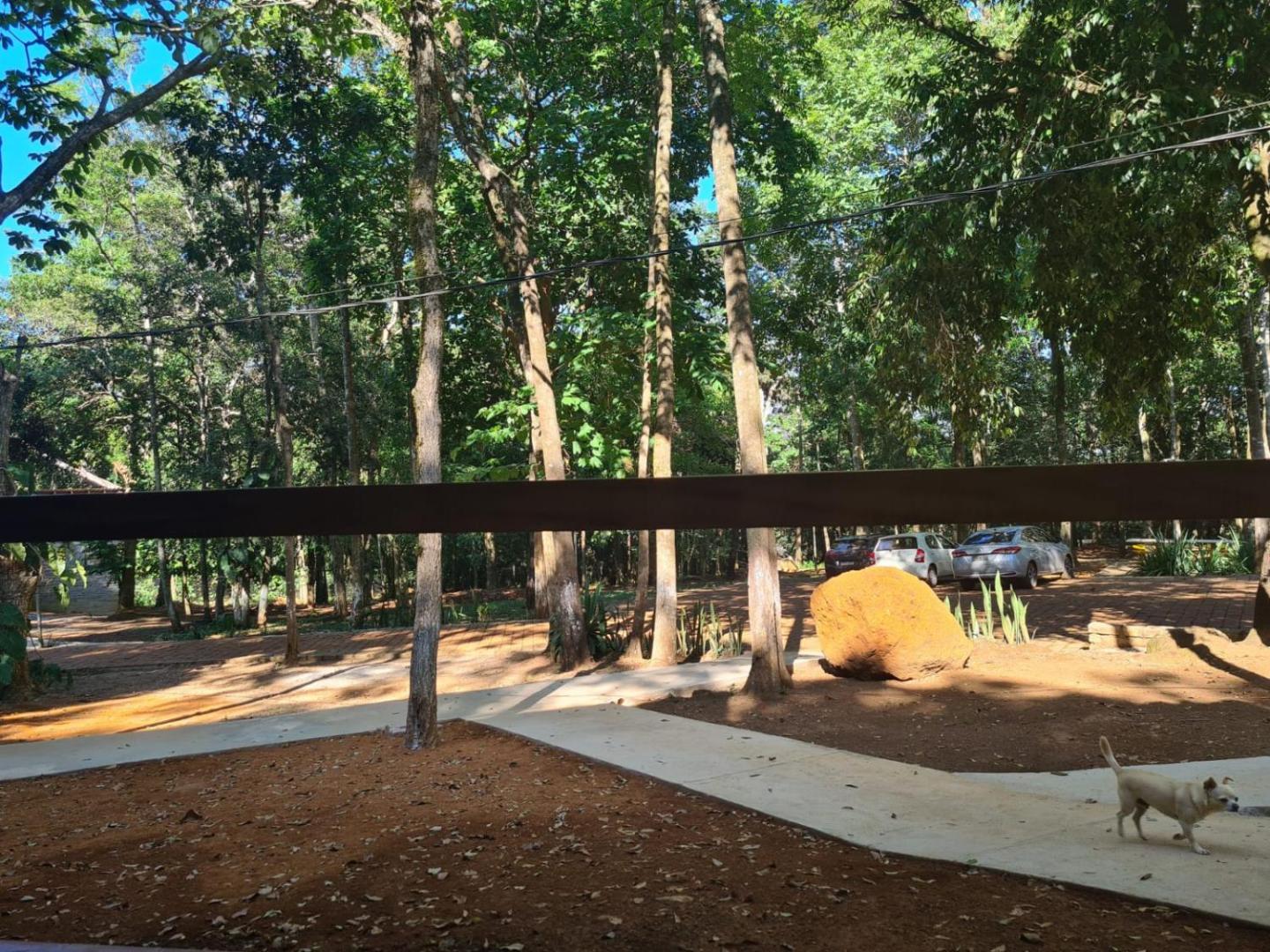 Bosque São Francisco