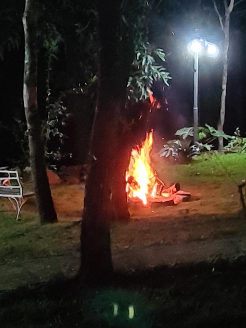 Bosque São Francisco