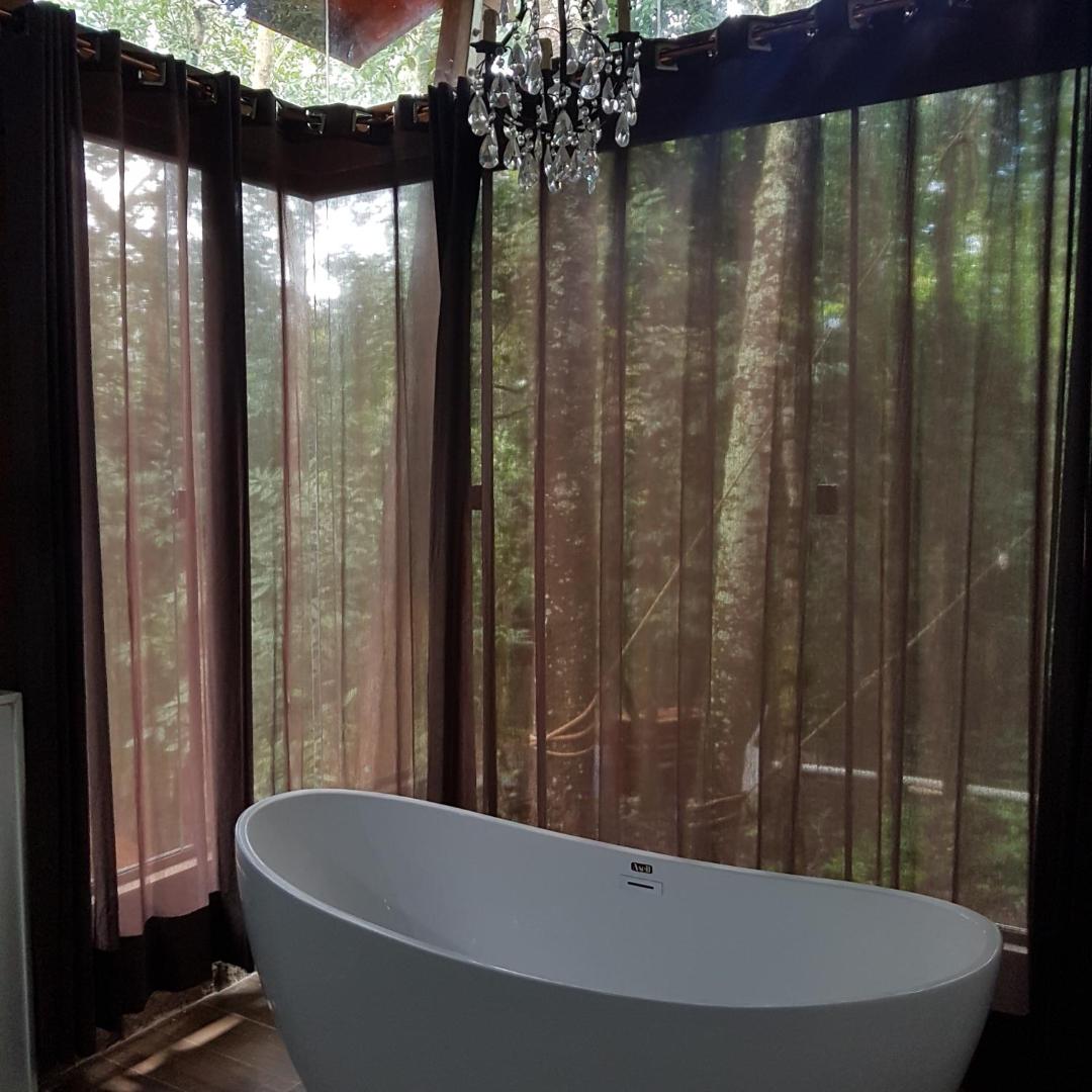 Bosque São Francisco