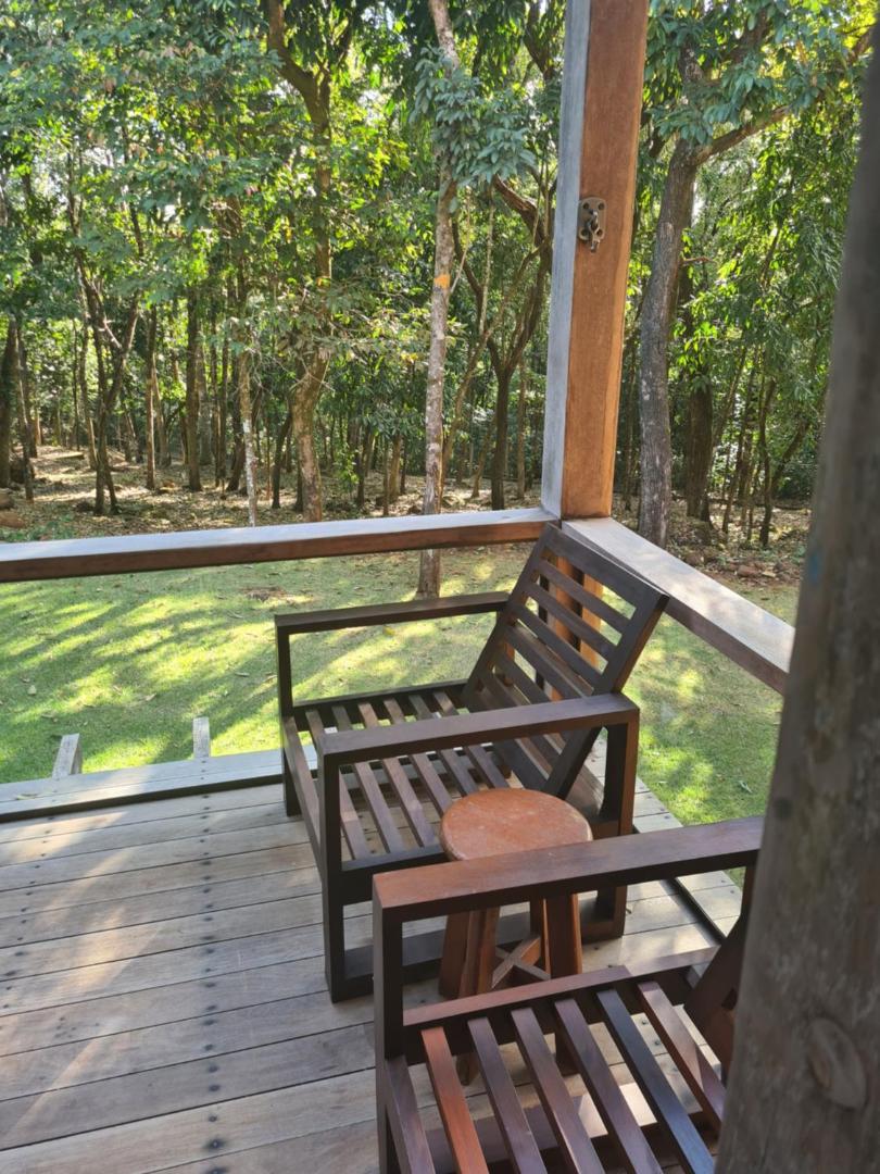 Bosque São Francisco