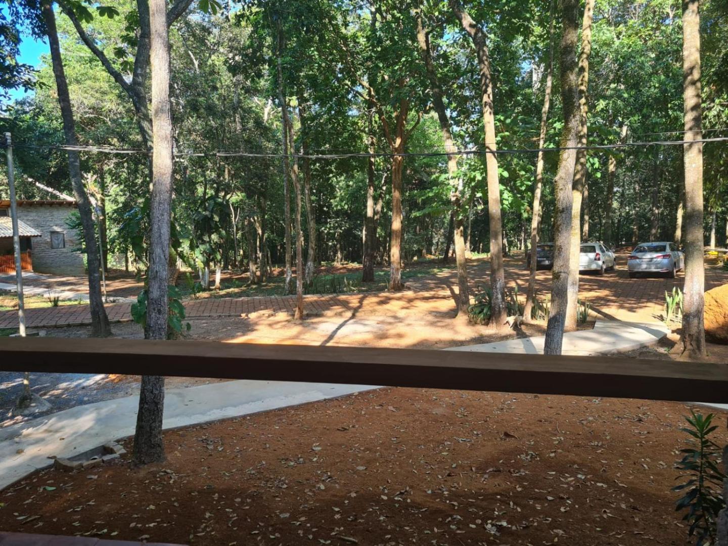 Bosque São Francisco