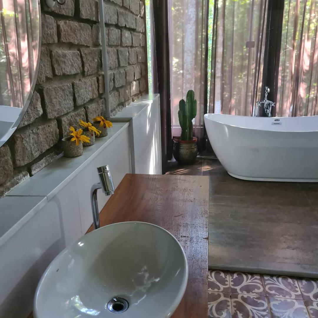 Bosque São Francisco