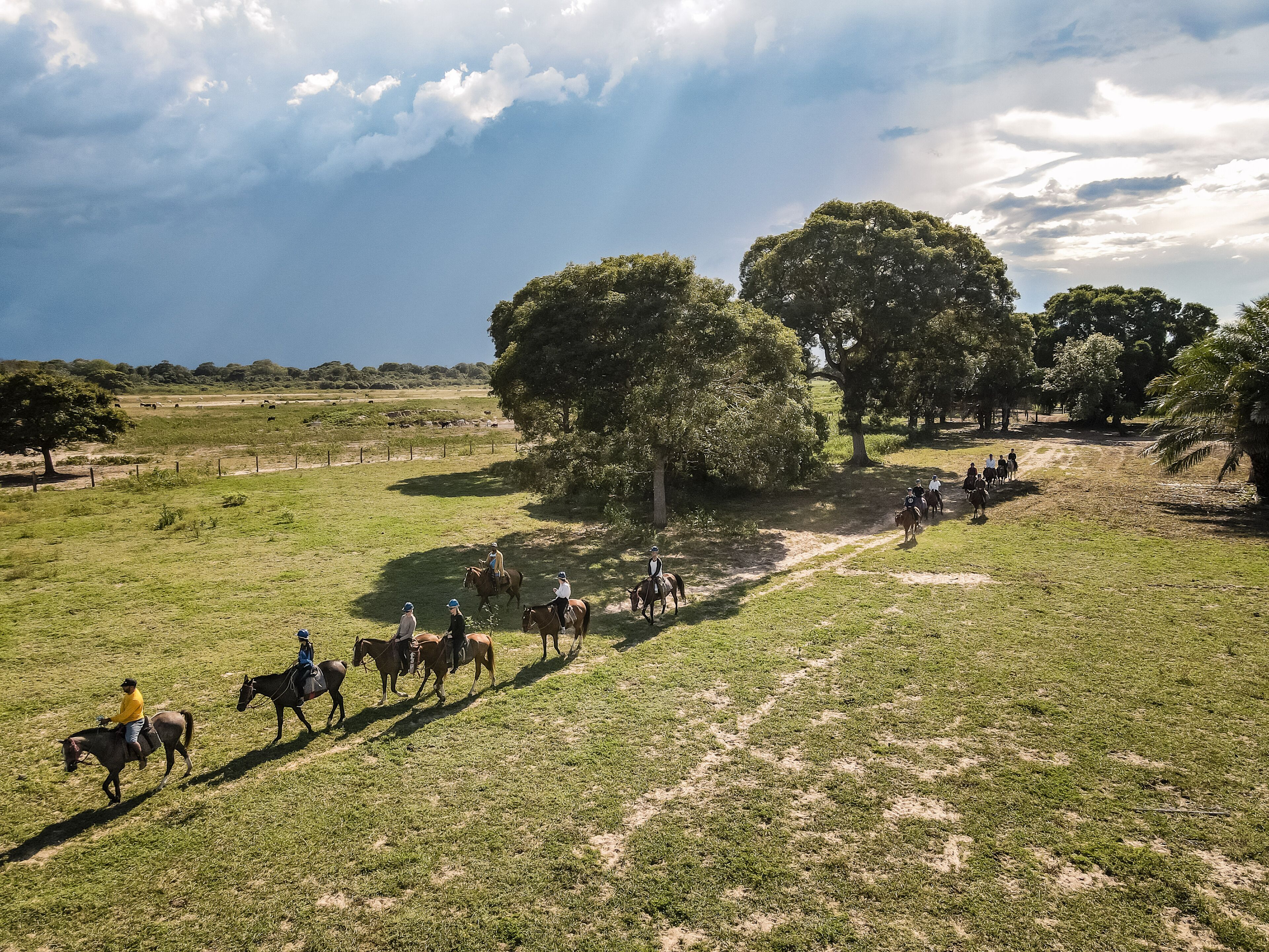 Pantanal Jungle Lodge