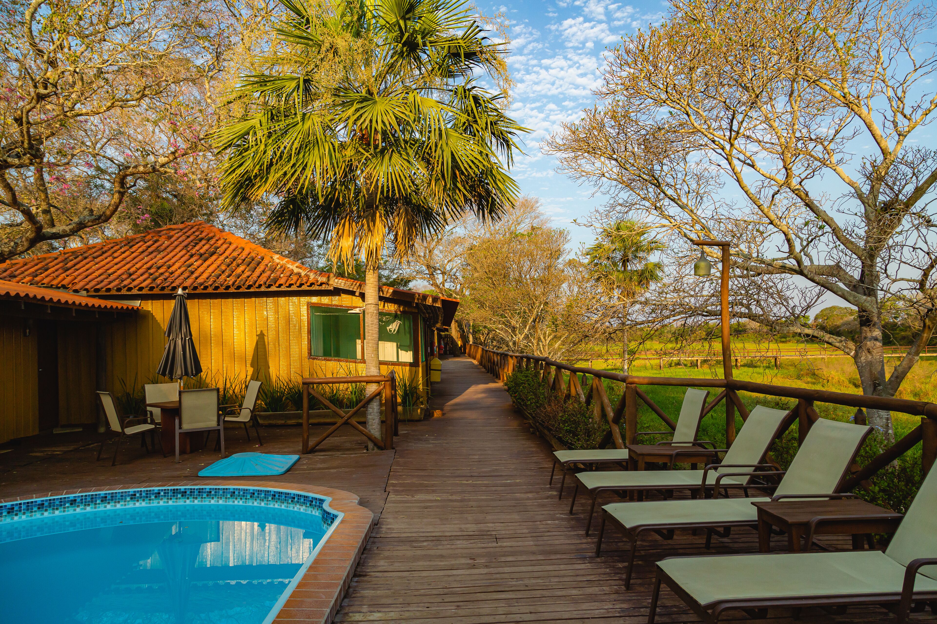 Pantanal Jungle Lodge