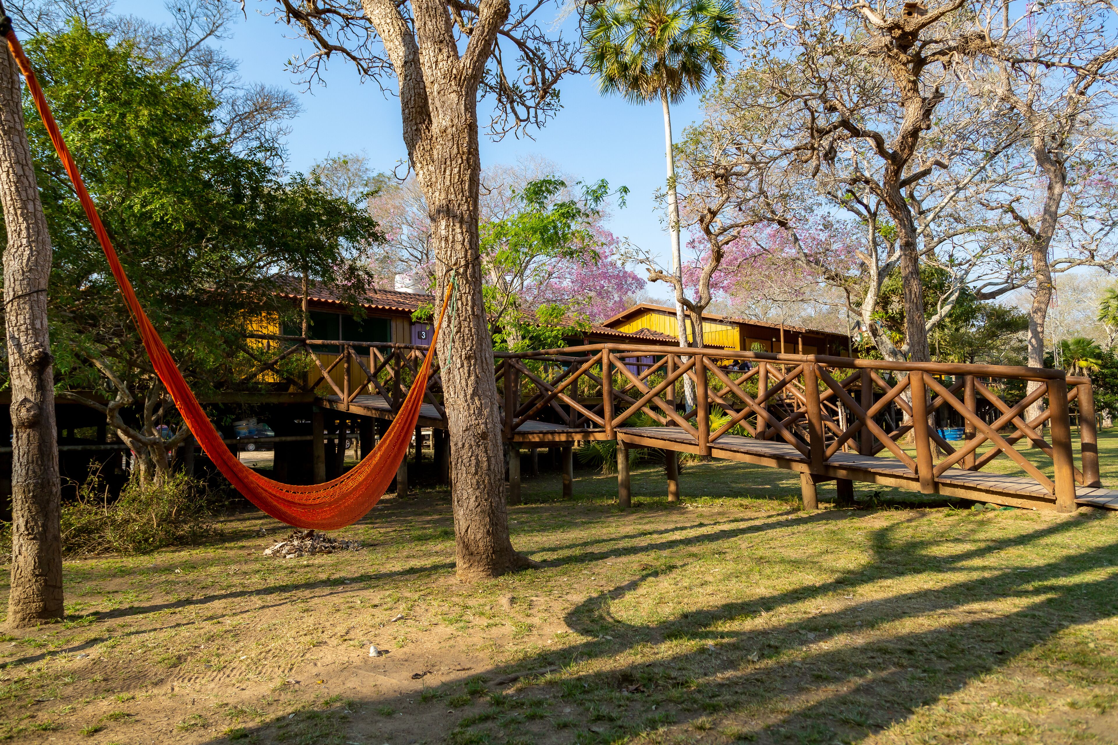 Pantanal Jungle Lodge
