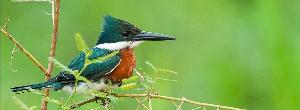 Aymara Lodge Pantanal