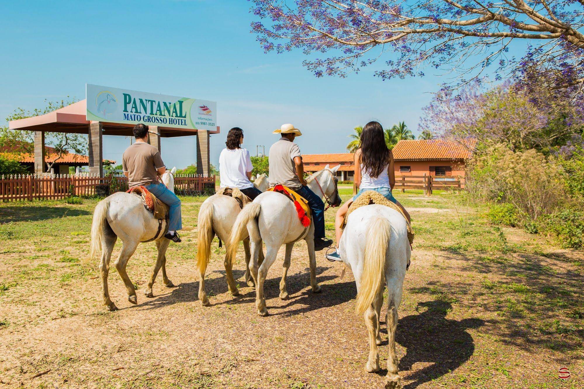 Pantanal Mato Grosso