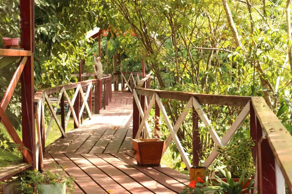 Vista Do Lago Jungle Lodge