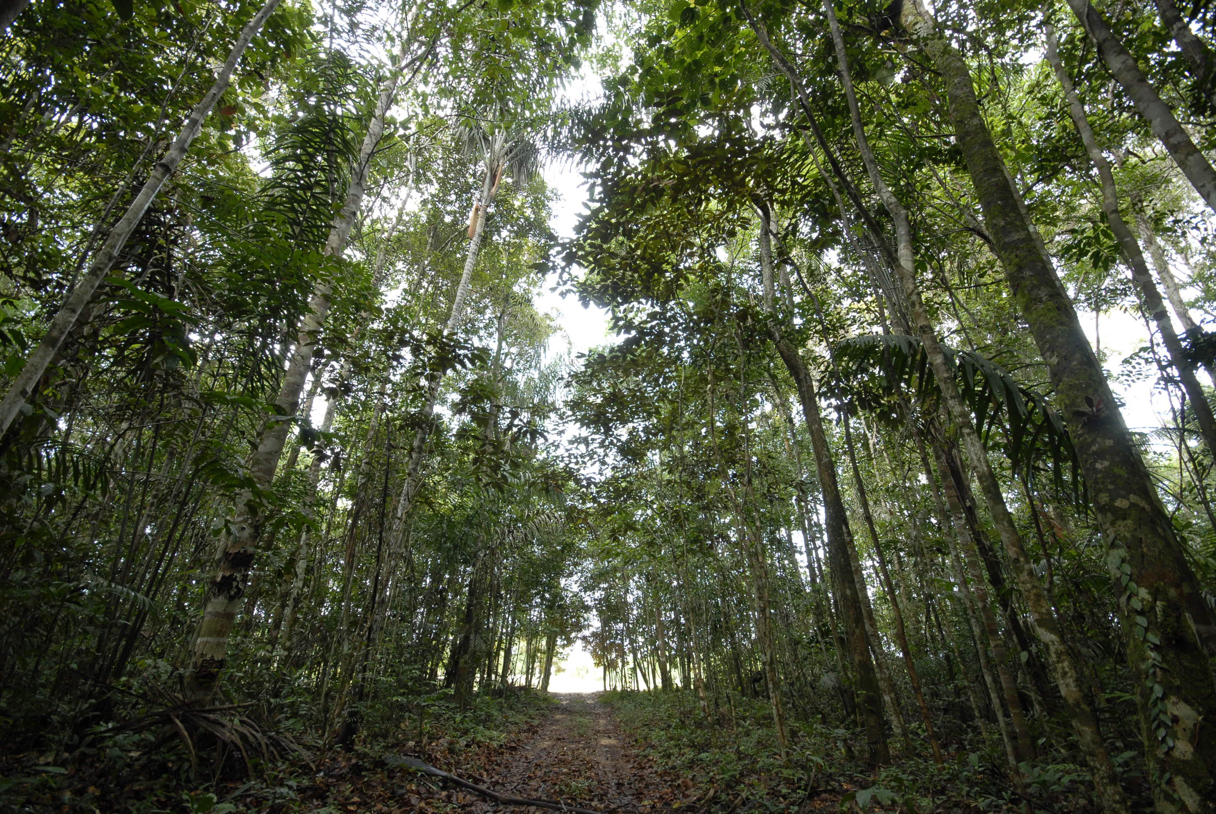 Amazonia Golf Resort