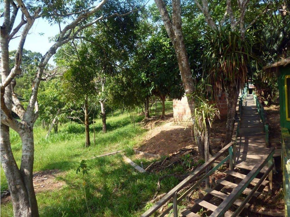 Amazon Brazil Camp