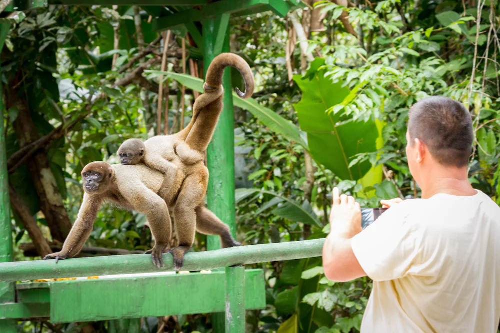 Amazon Ecopark Jungle Lodge