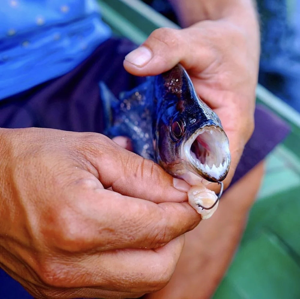 Anaconda Amazon Resort