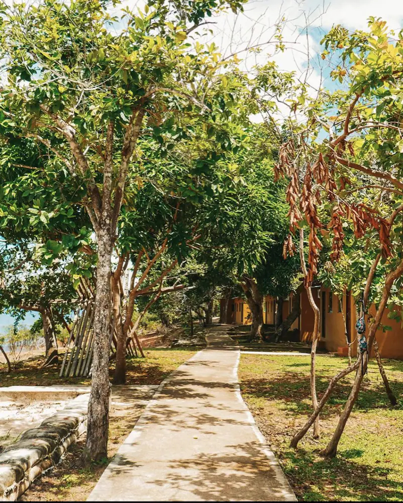 Anaconda Amazon Resort