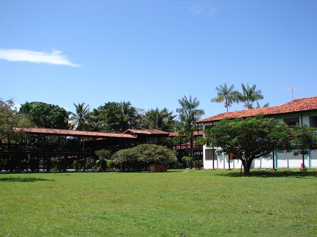 Ilha Do Marajo
