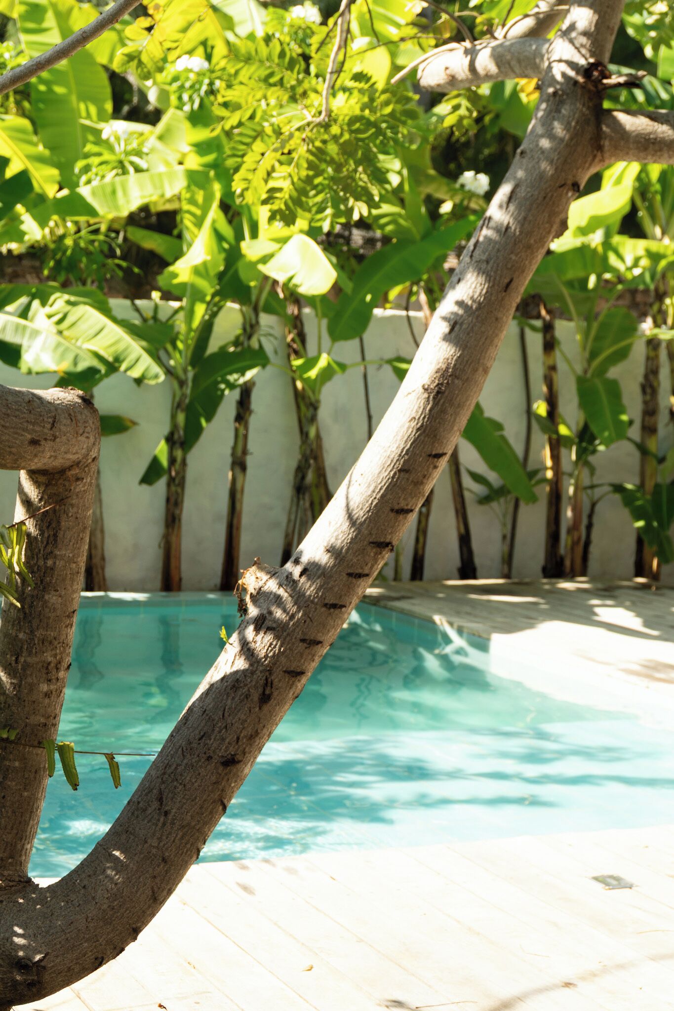 Pousada La Vida Boutique