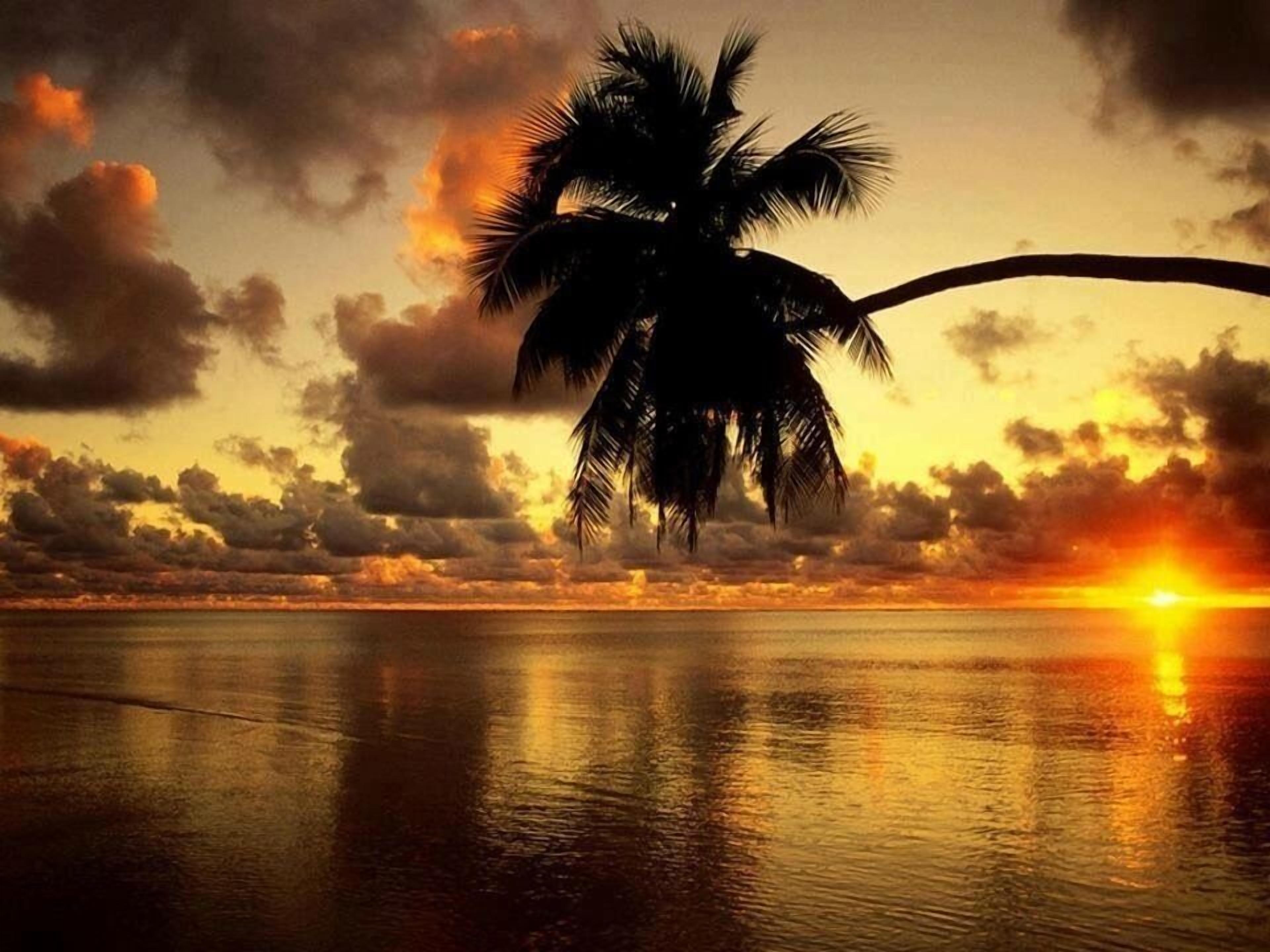 Pousada La Vida Boutique