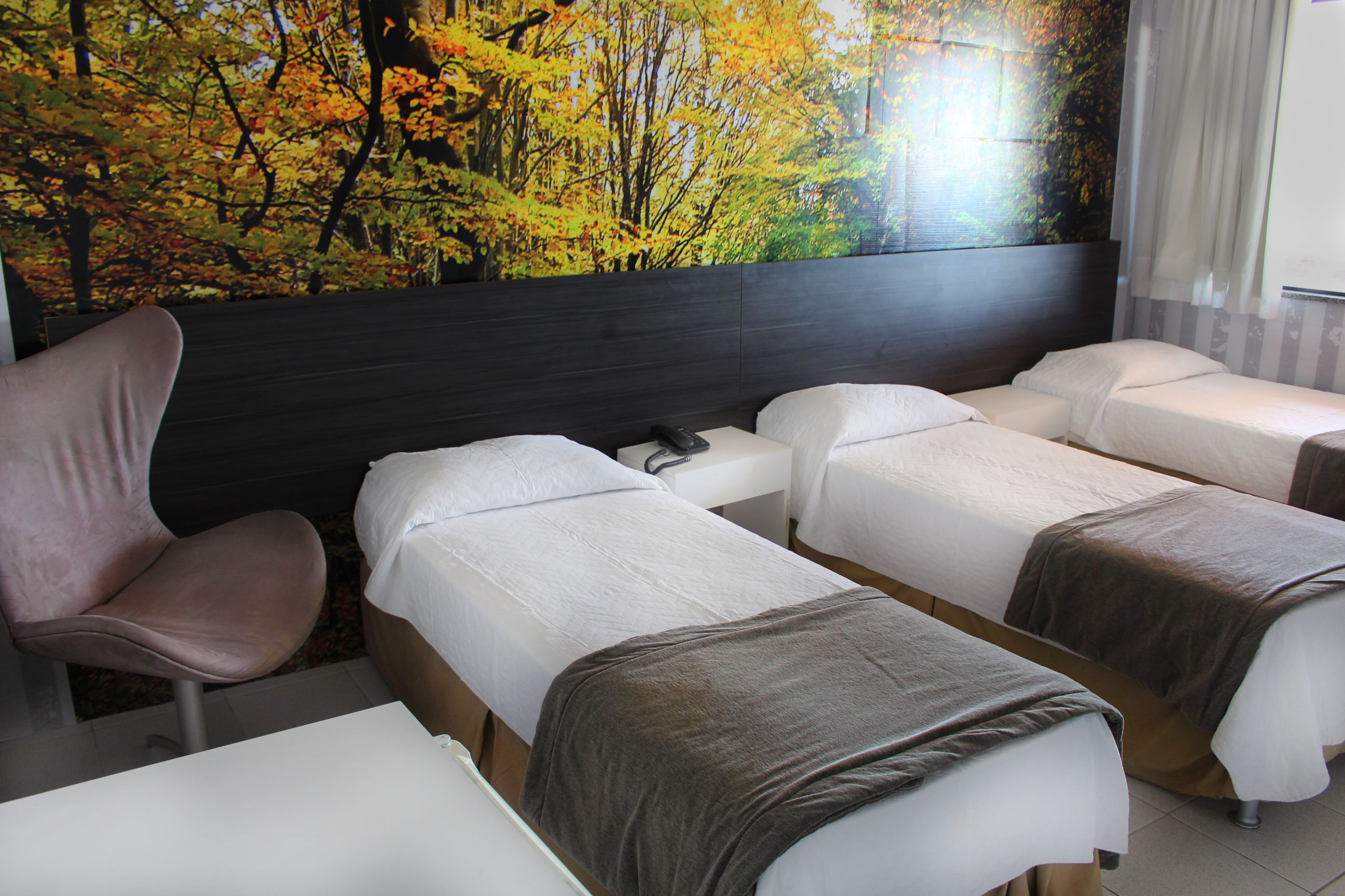 Hotel Orion