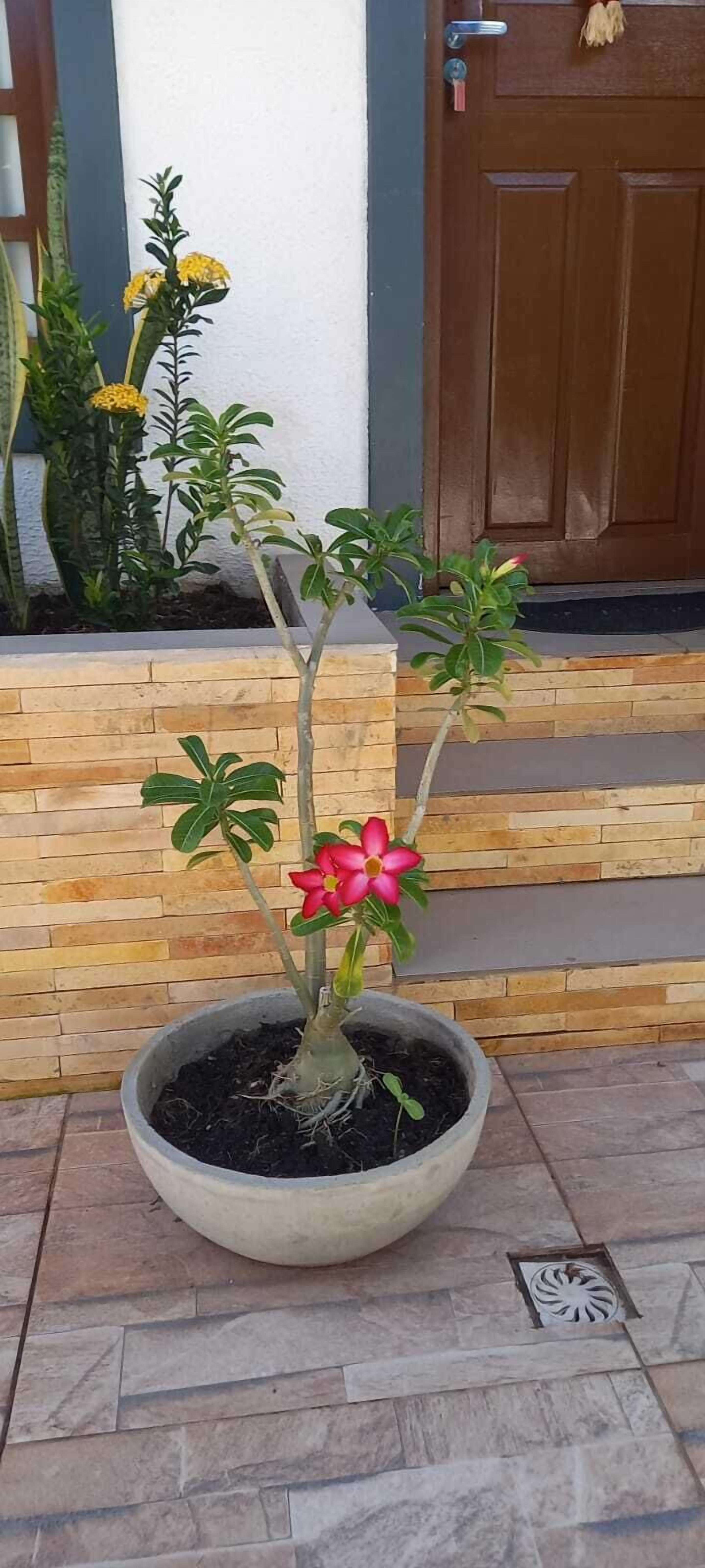 Temporada Aracaju