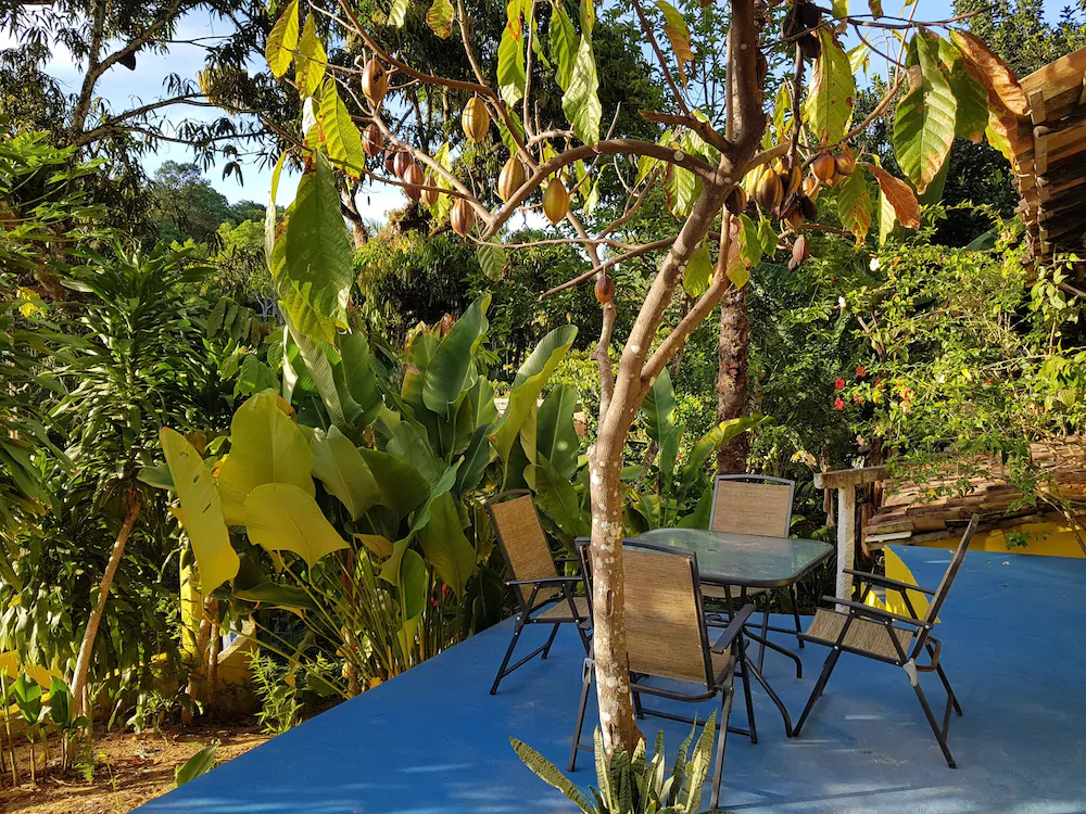 Odoya Eco Pousada