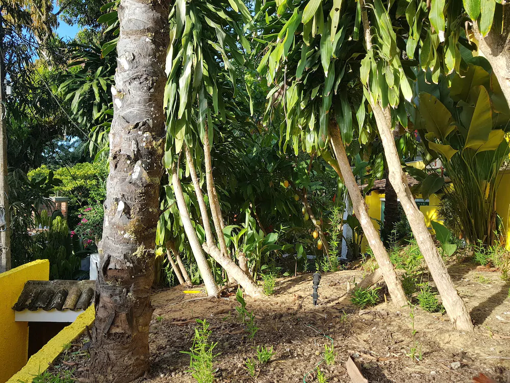 Odoya Eco Pousada