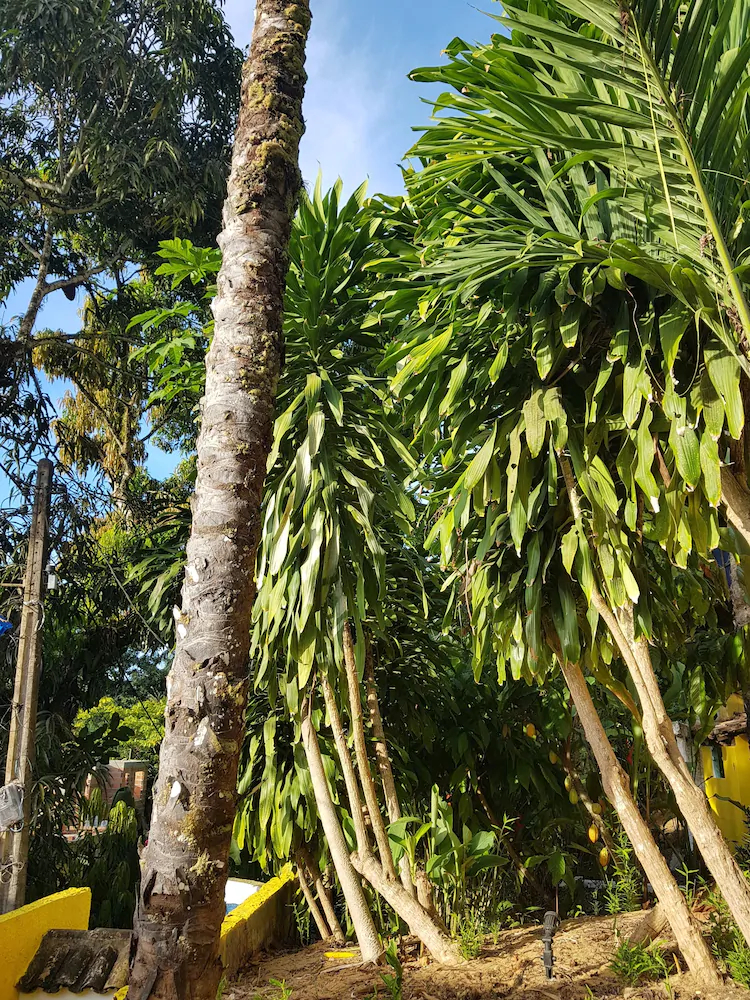 Odoya Eco Pousada