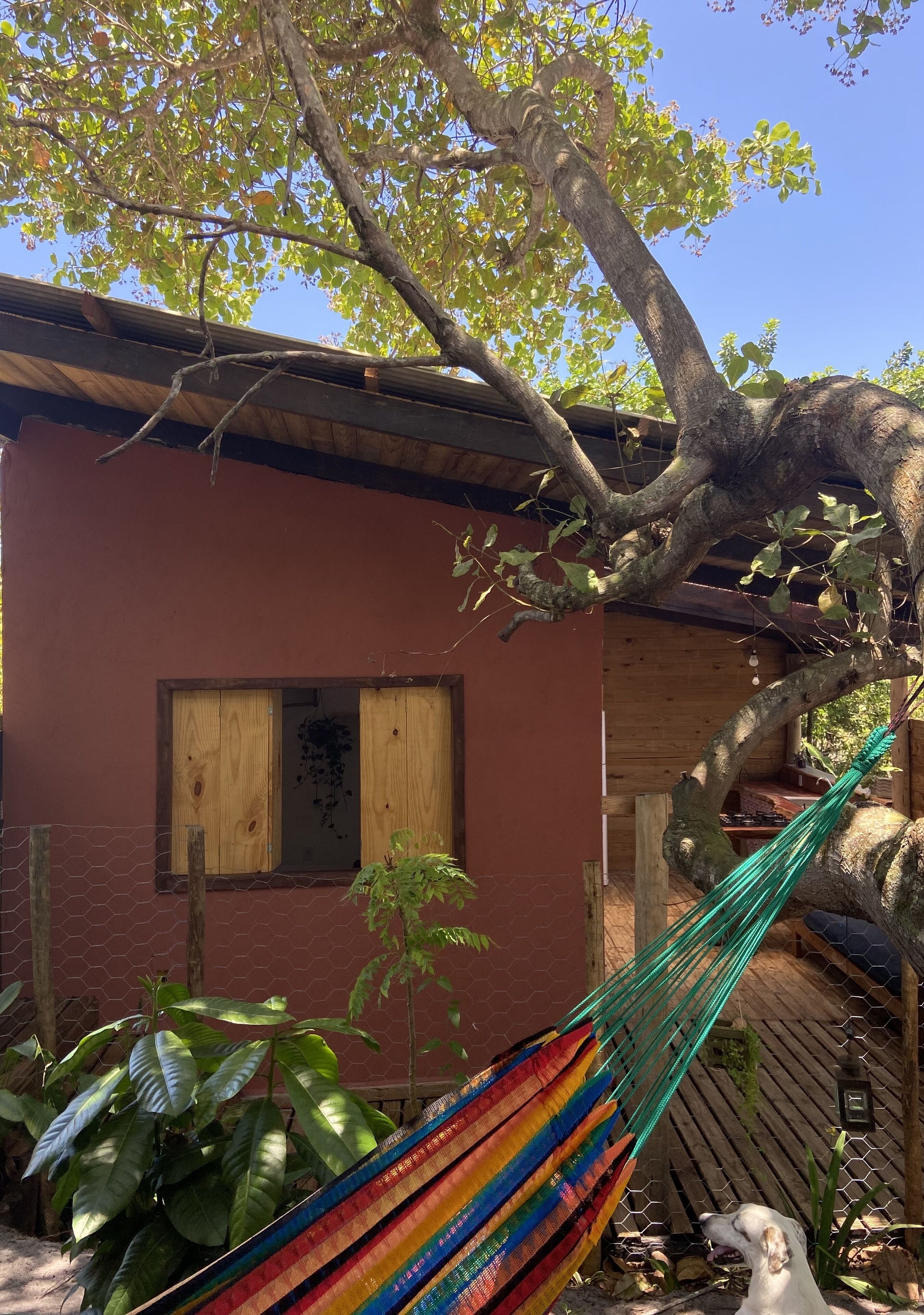 Oxe Hostel