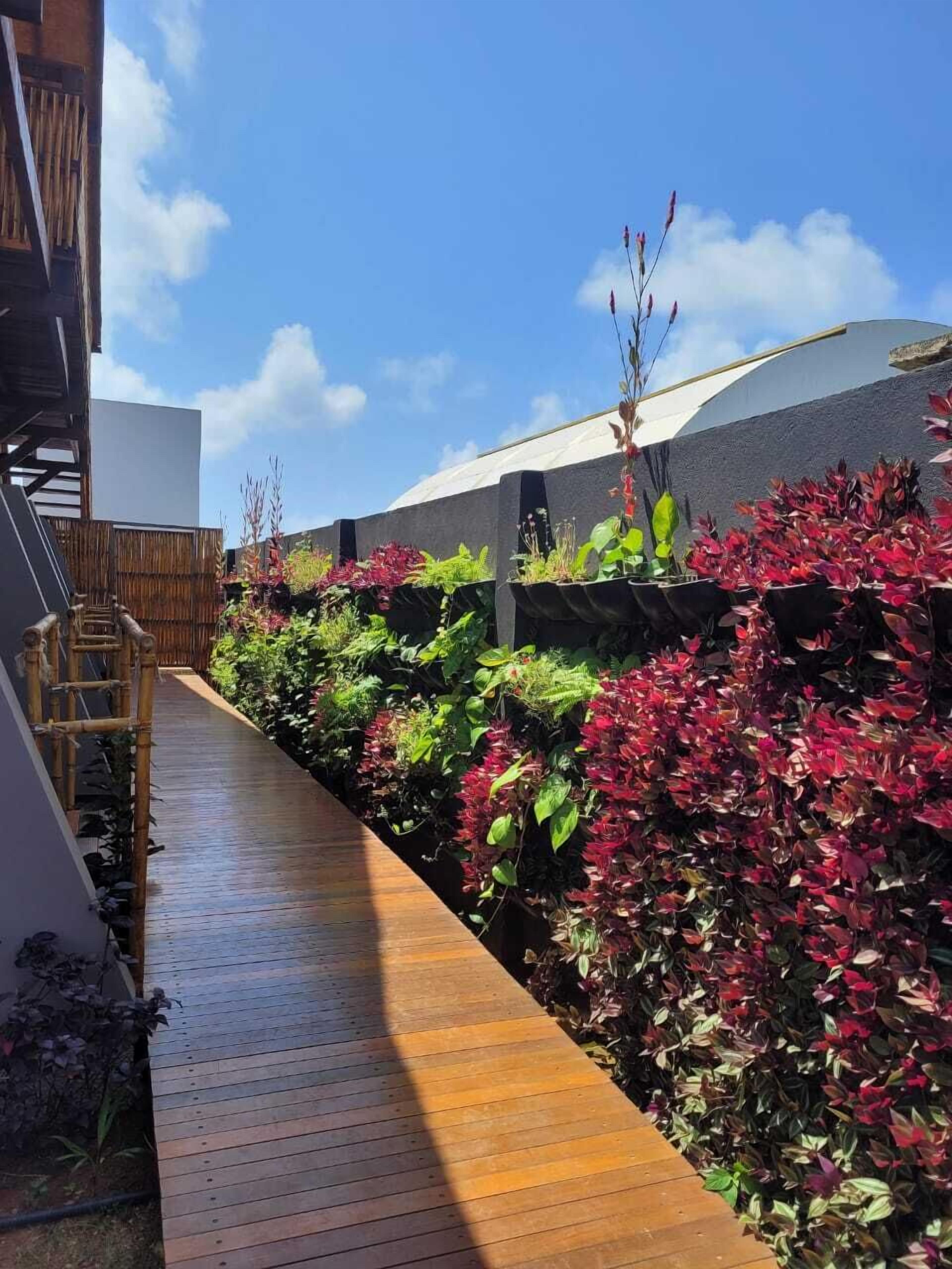 Casa Makaira