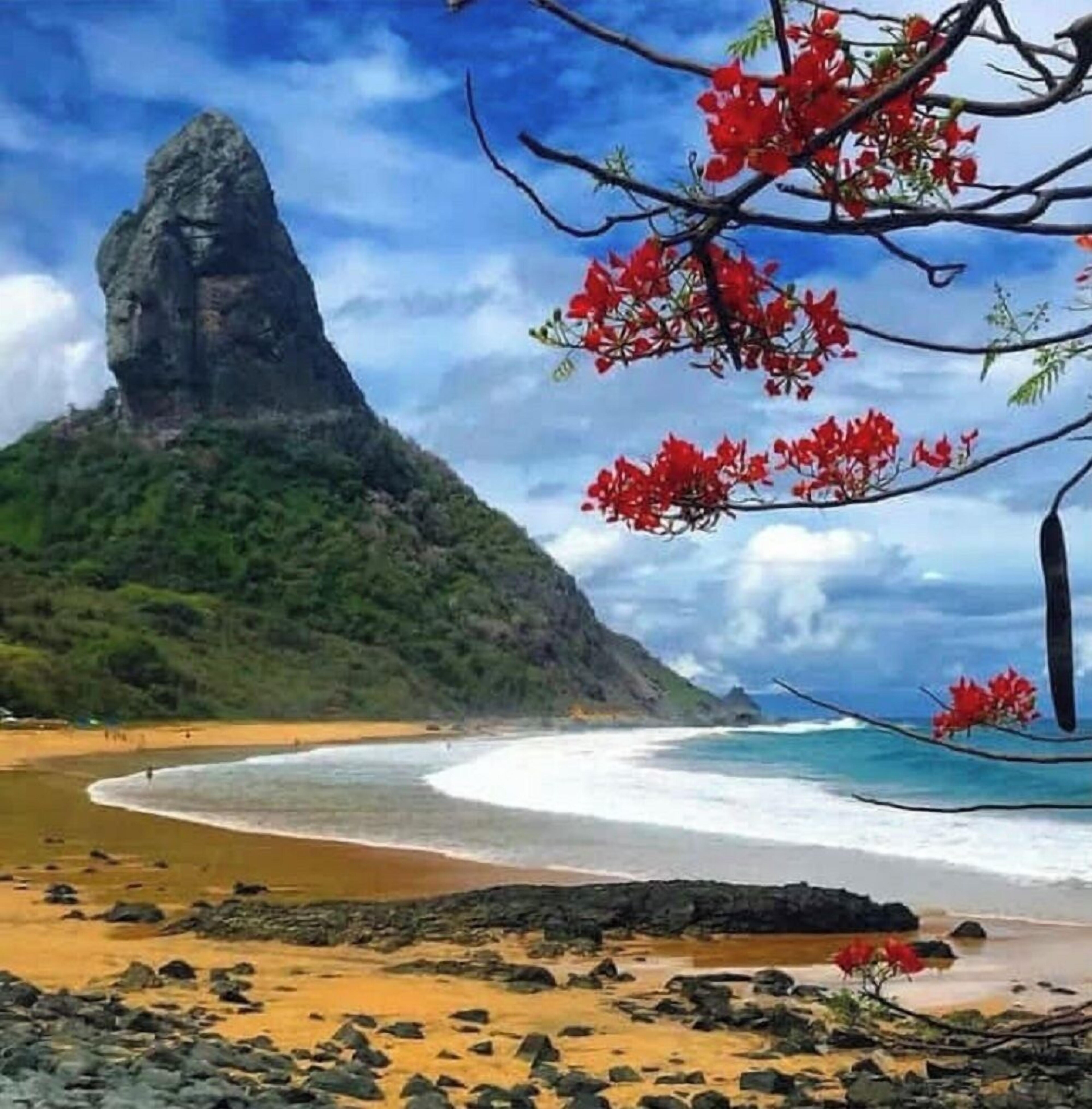 Pousada Aratu