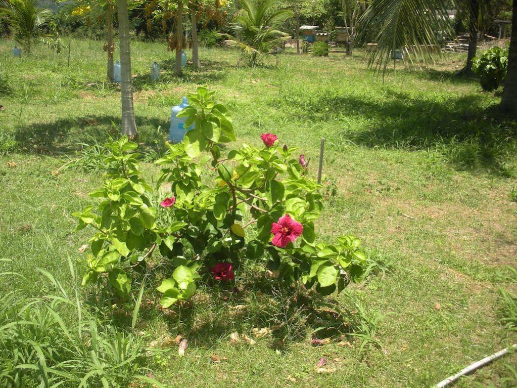 Pousada Canto do Boldró