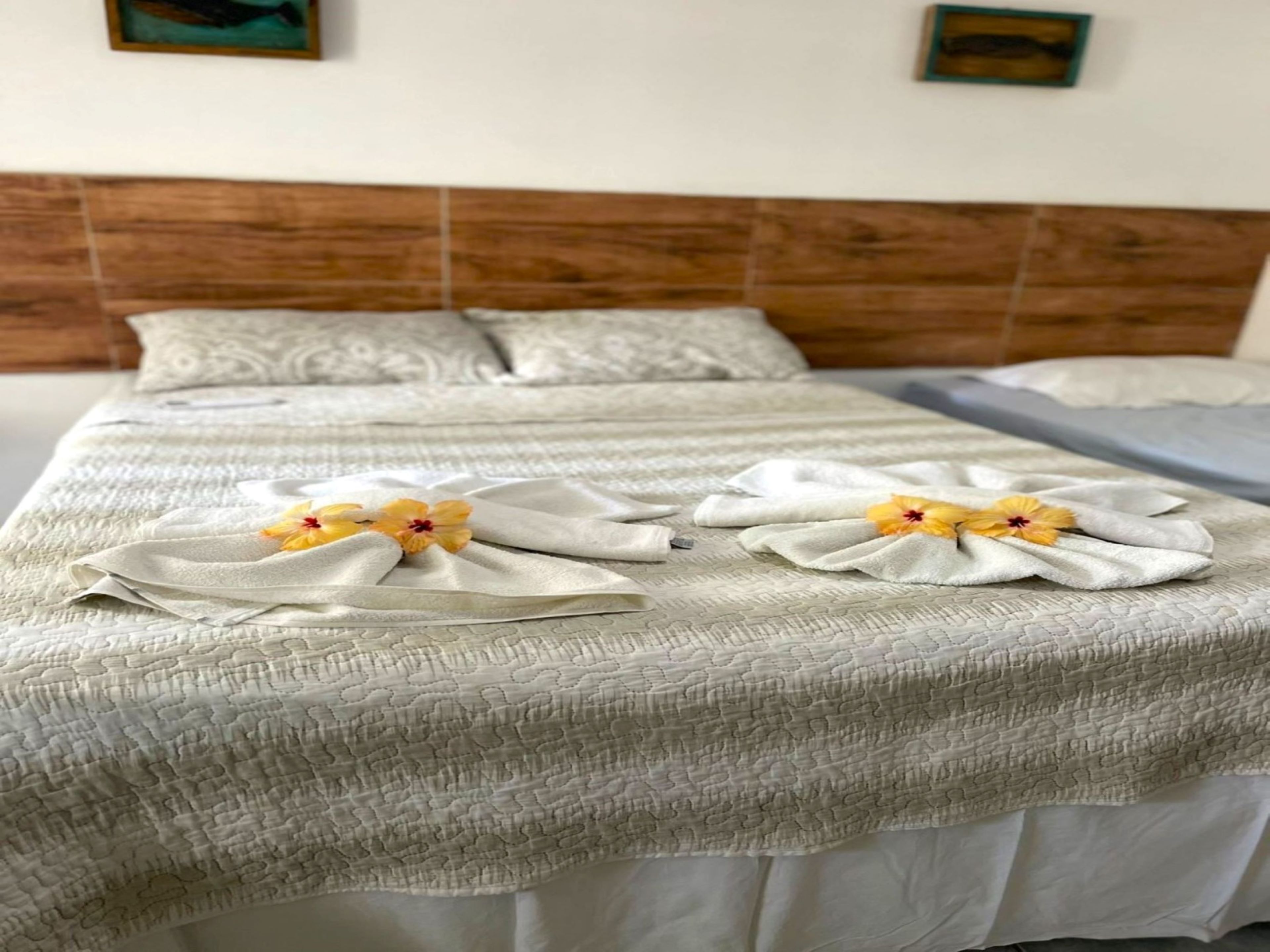 Pousada Portal dos Golfinhos