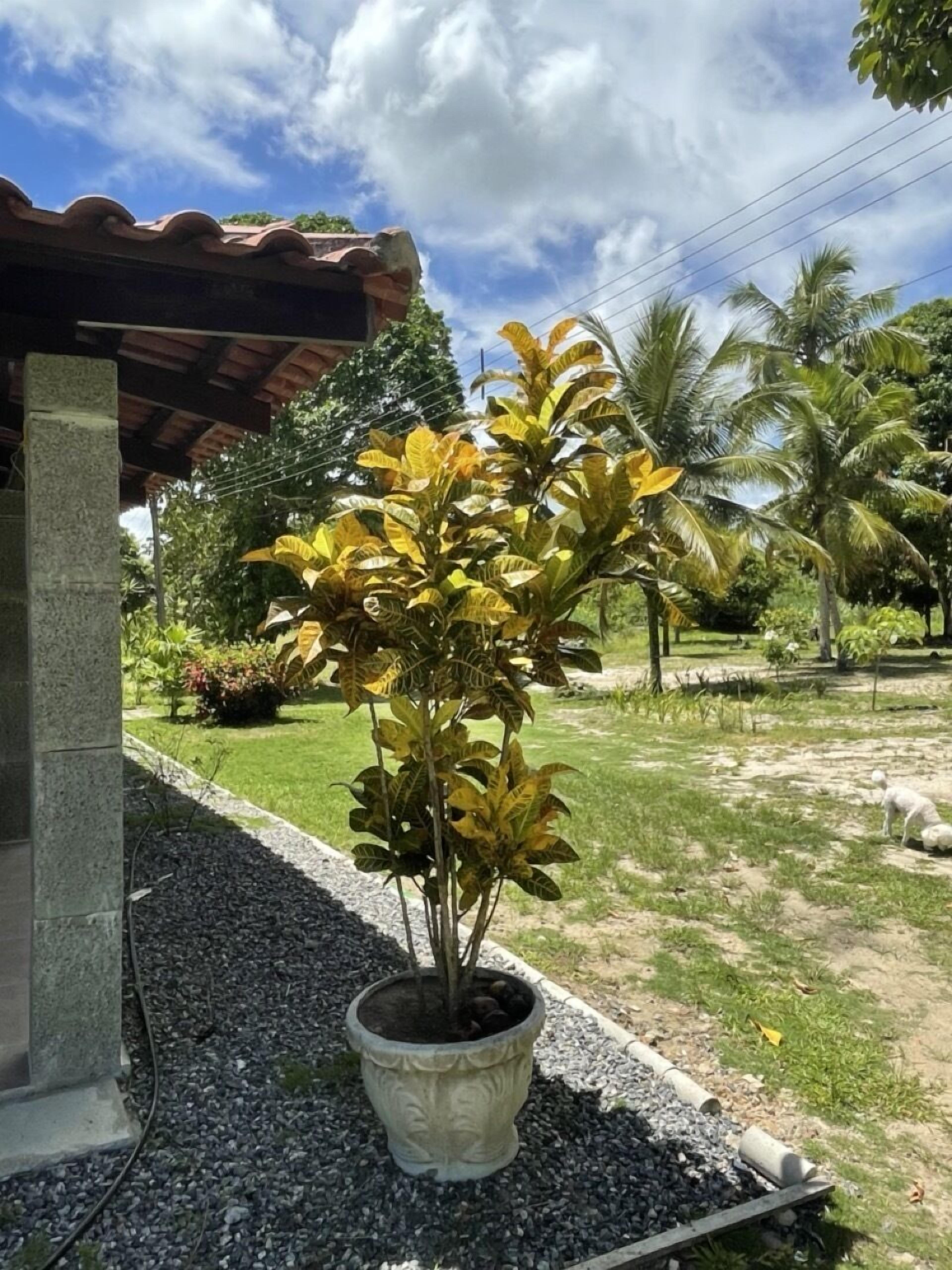 Pousada Flor De Alecrim