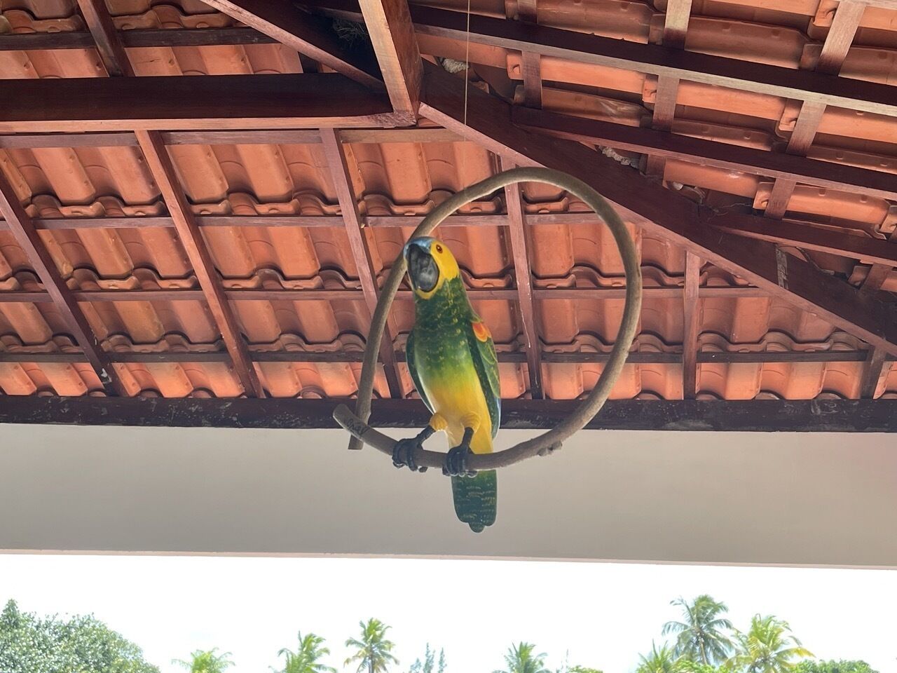 Pousada Flor De Alecrim