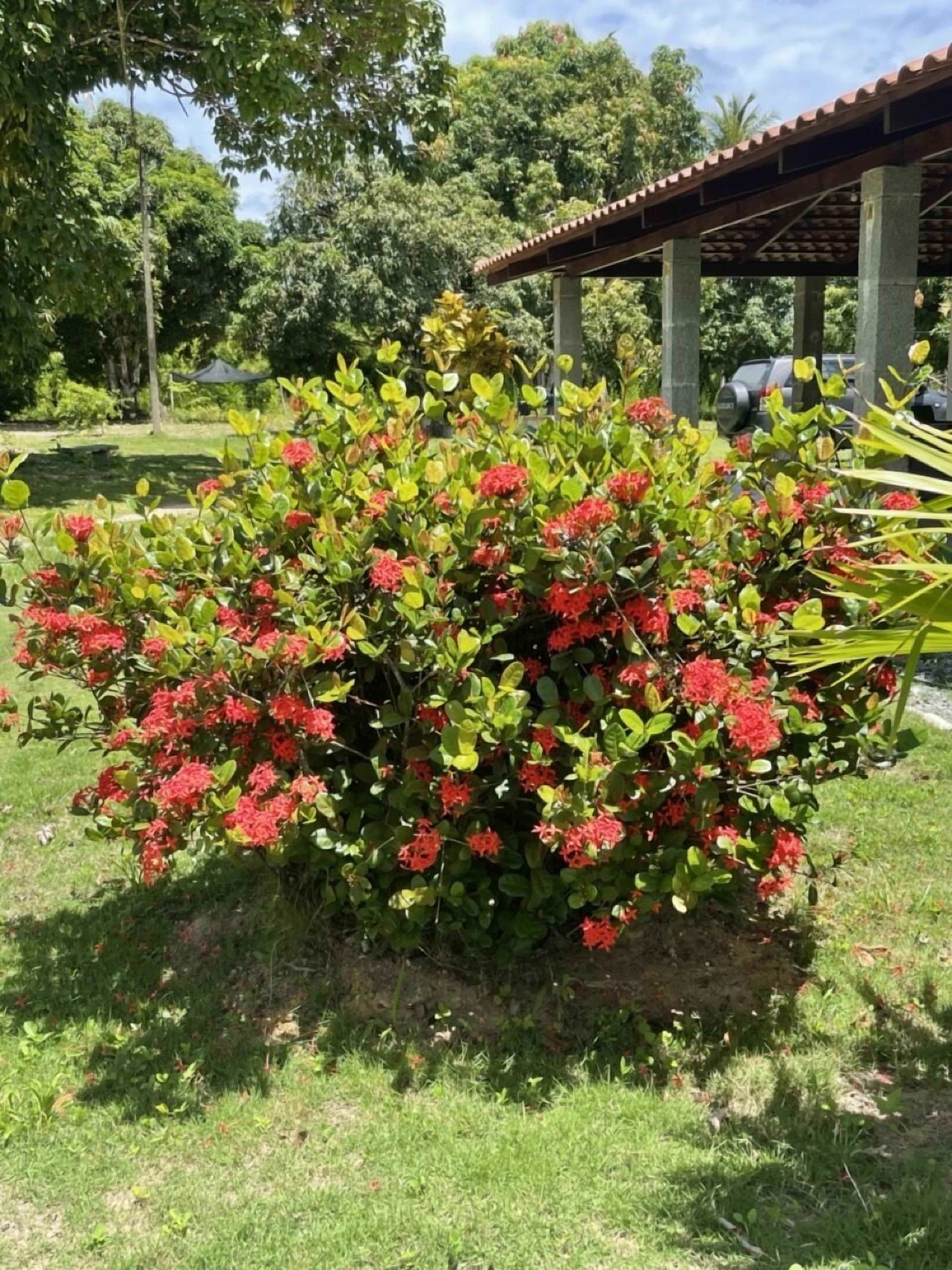 Pousada Flor De Alecrim