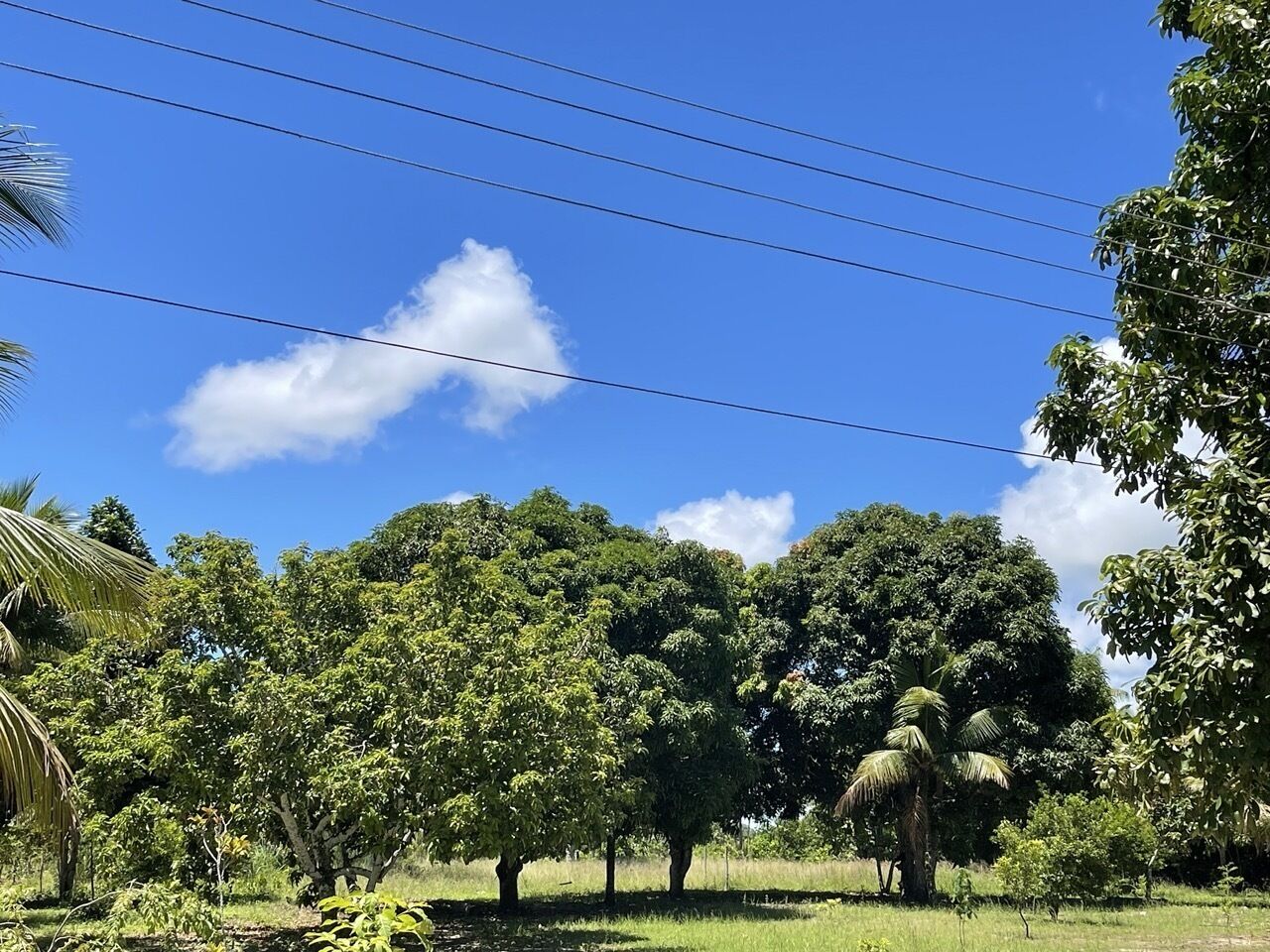 Pousada Flor De Alecrim