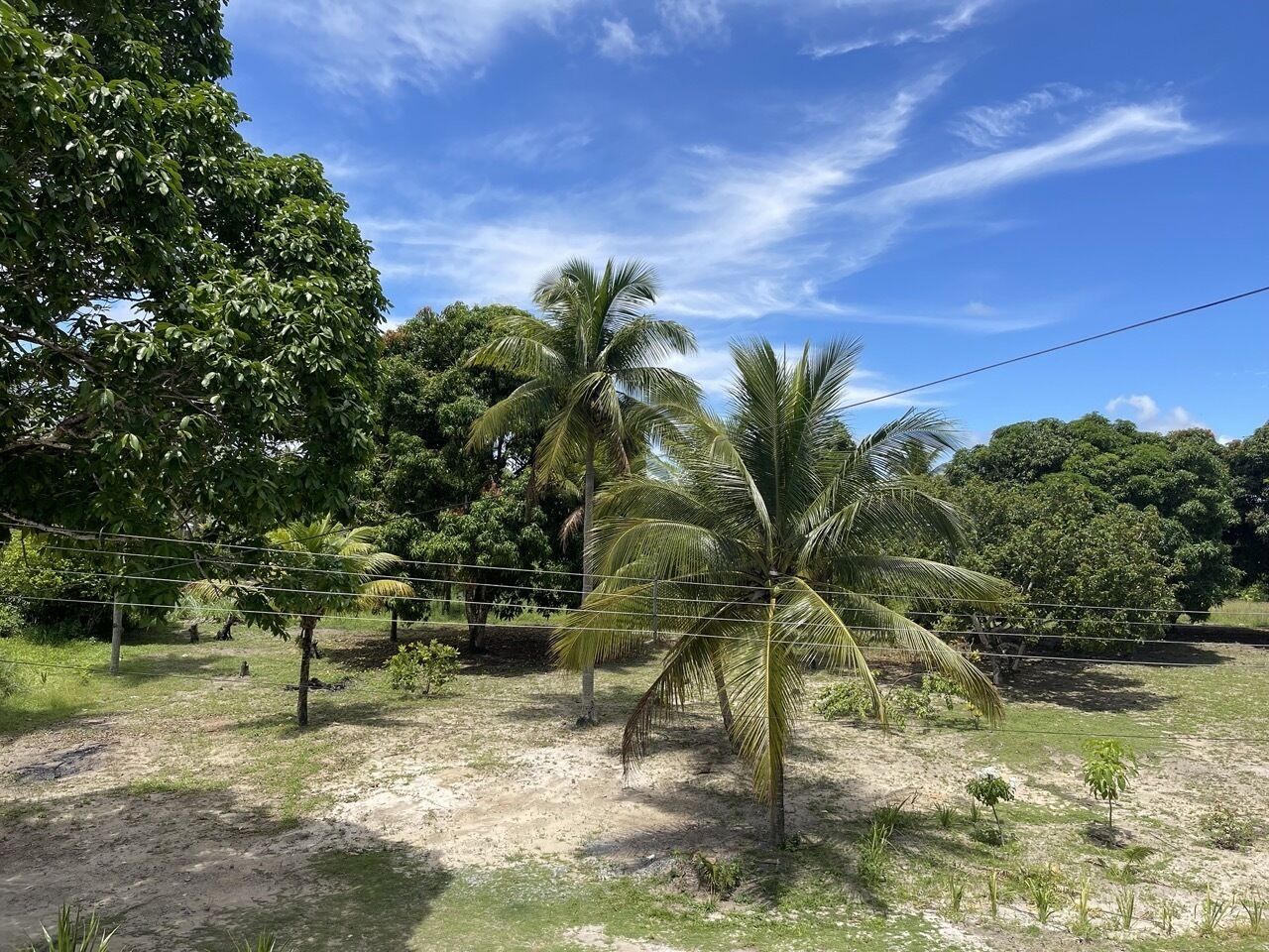 Pousada Flor De Alecrim