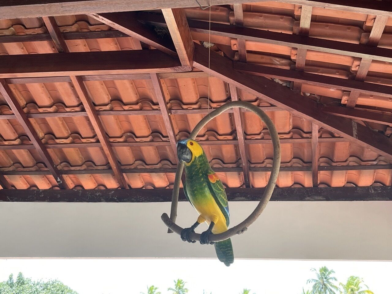 Pousada Flor De Alecrim