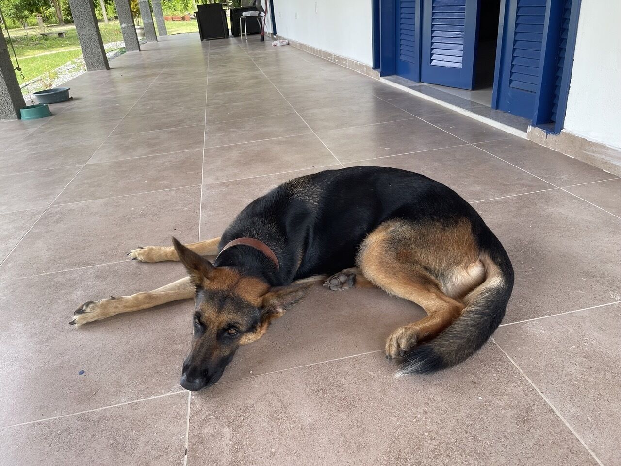 Pousada Flor De Alecrim