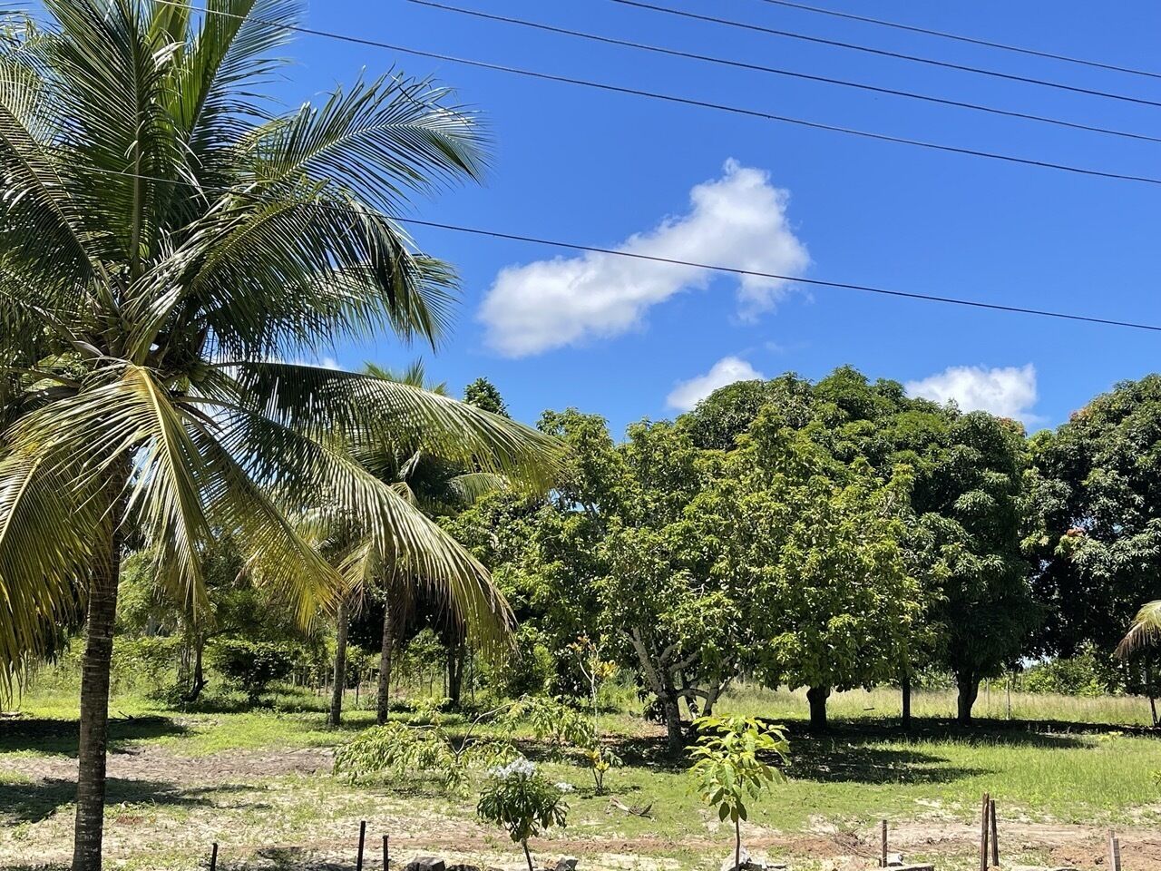 Pousada Flor De Alecrim