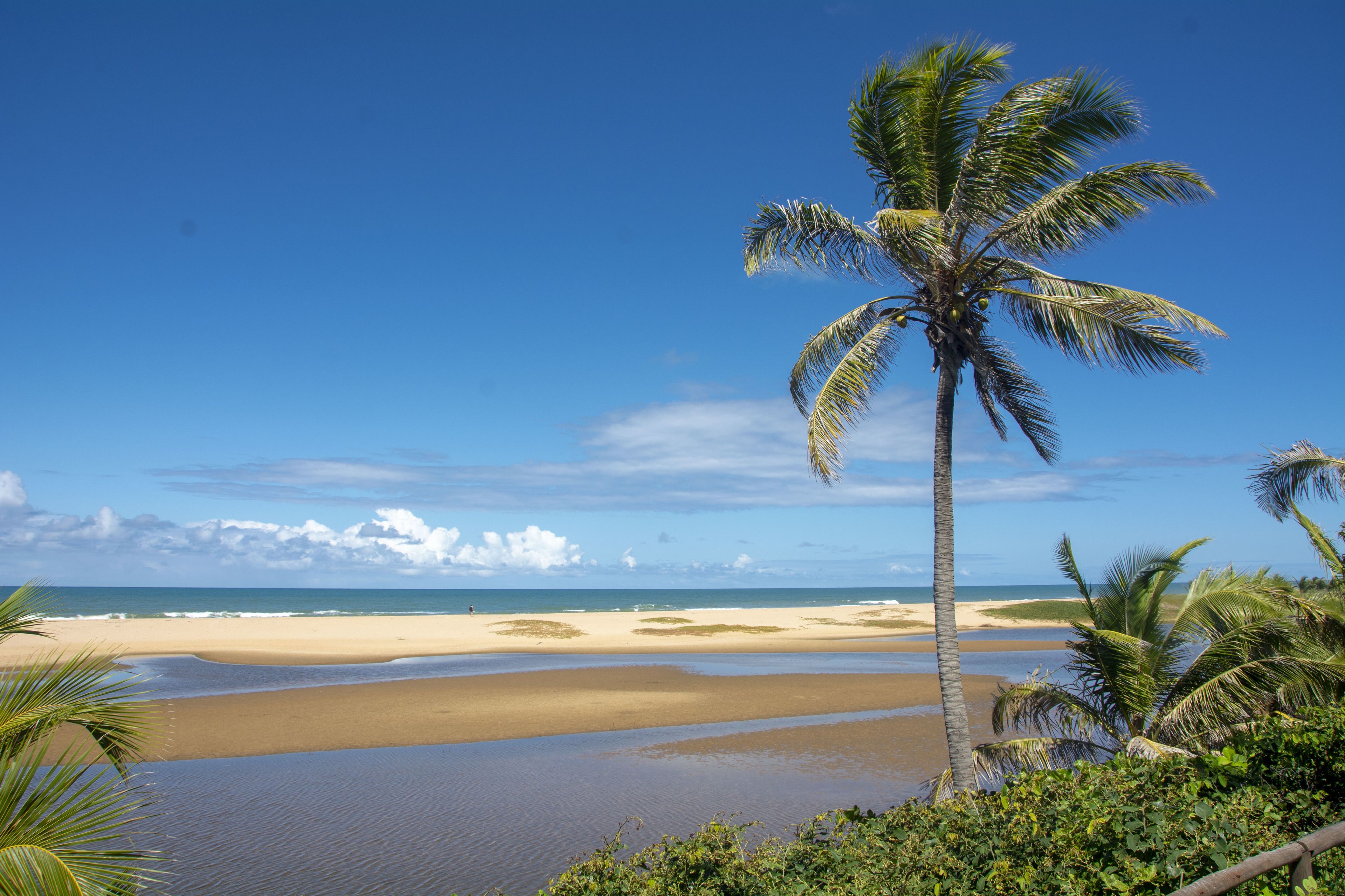 Costa dos Coqueiros