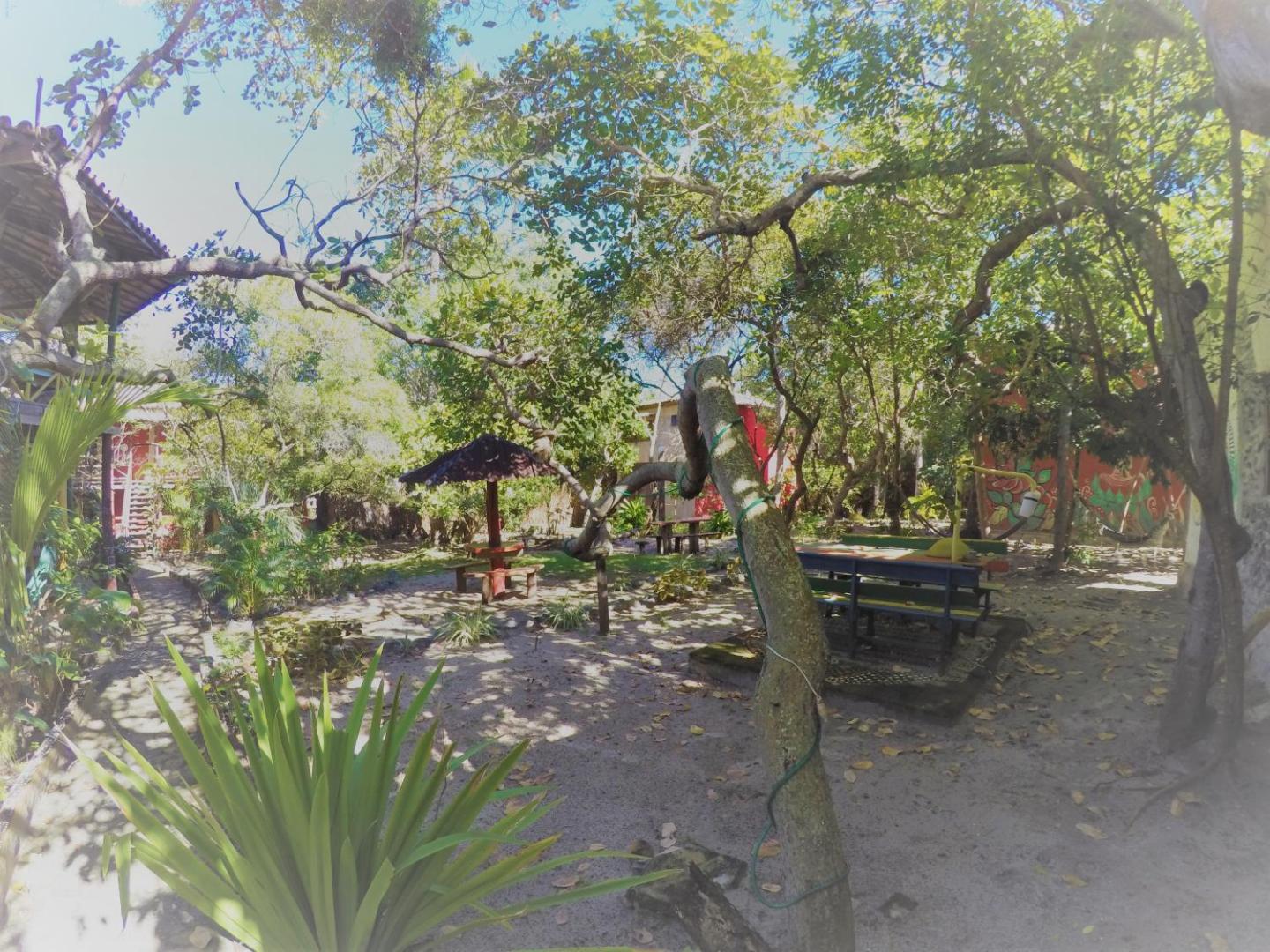 Imbassaí Eco Hostel Lujimba