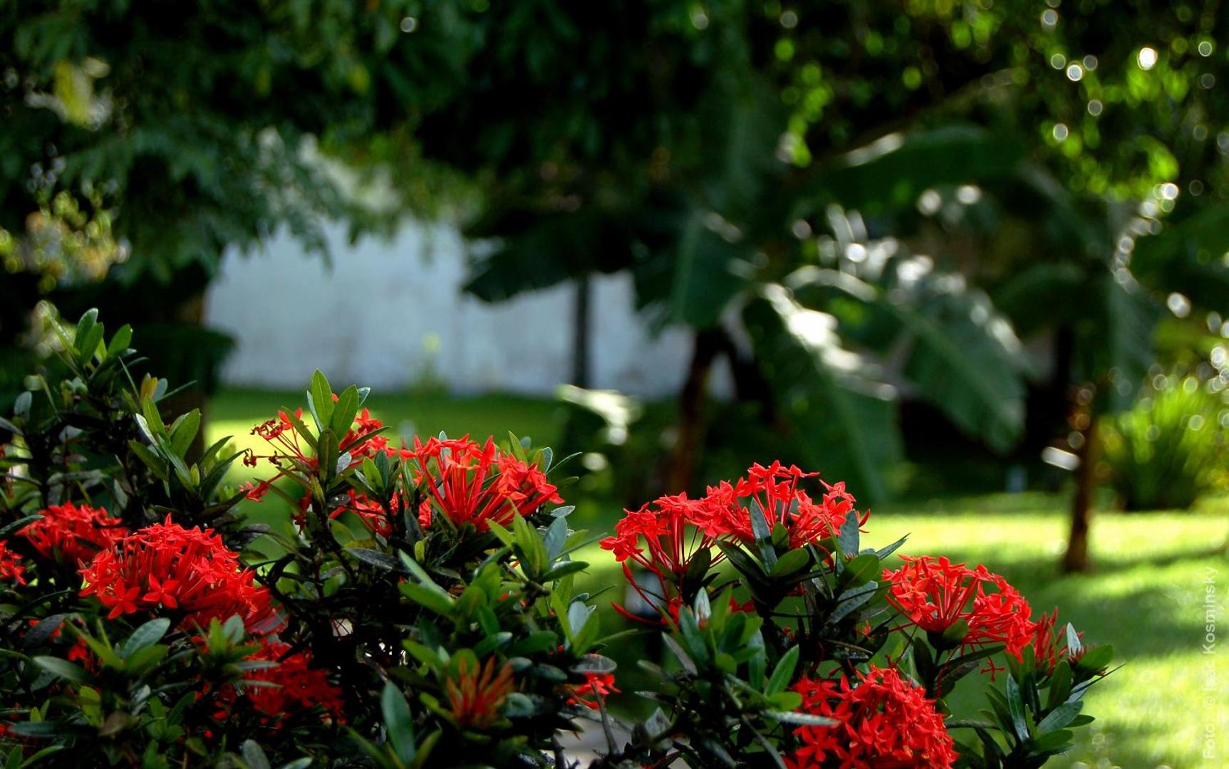Pousada Salvador Paradise