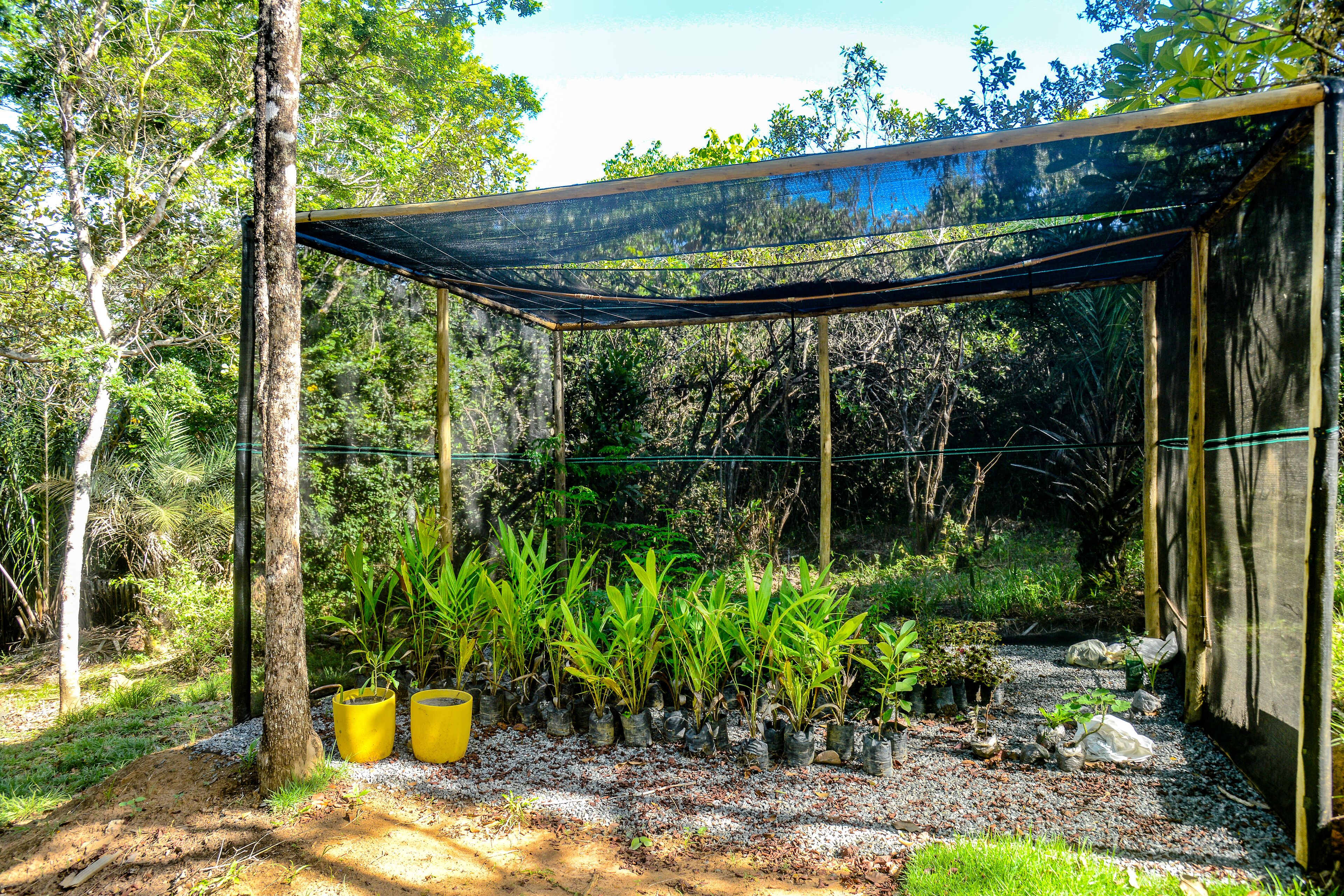 Pousada Bellatrix Ecolodge