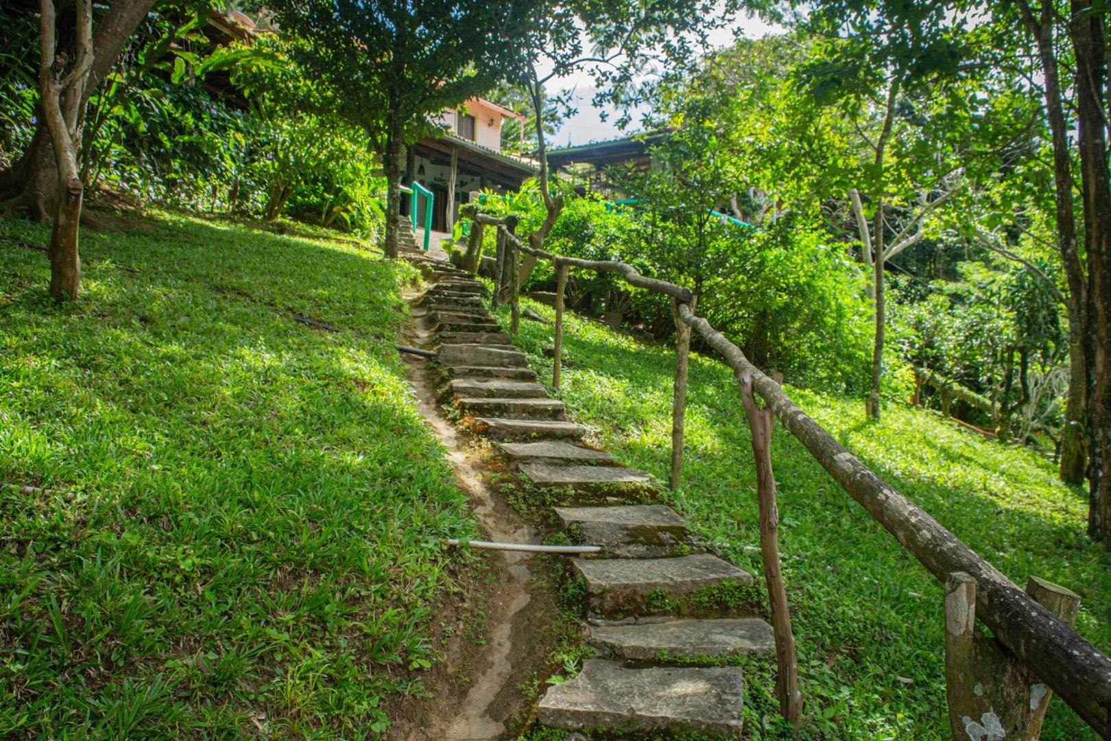 Saíra Recanto De Serra