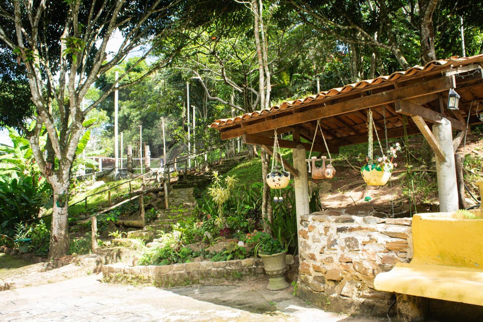 Saíra Recanto De Serra