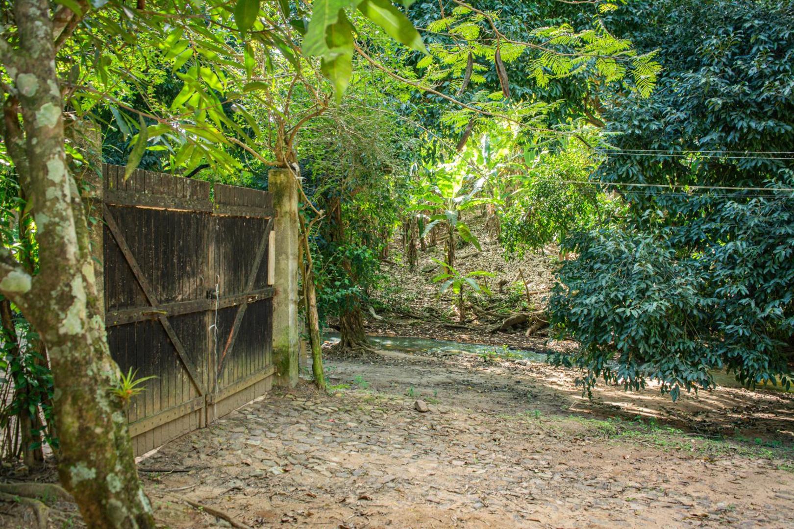 Saíra Recanto De Serra