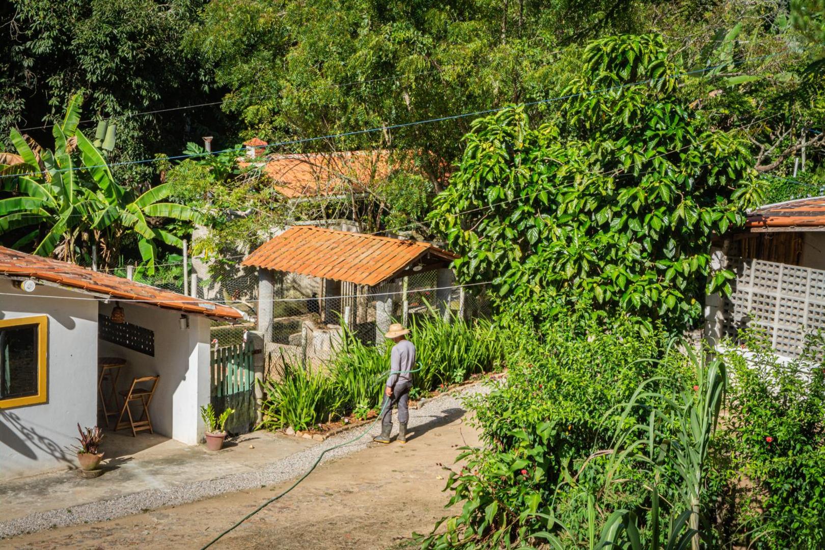 Saíra Recanto De Serra