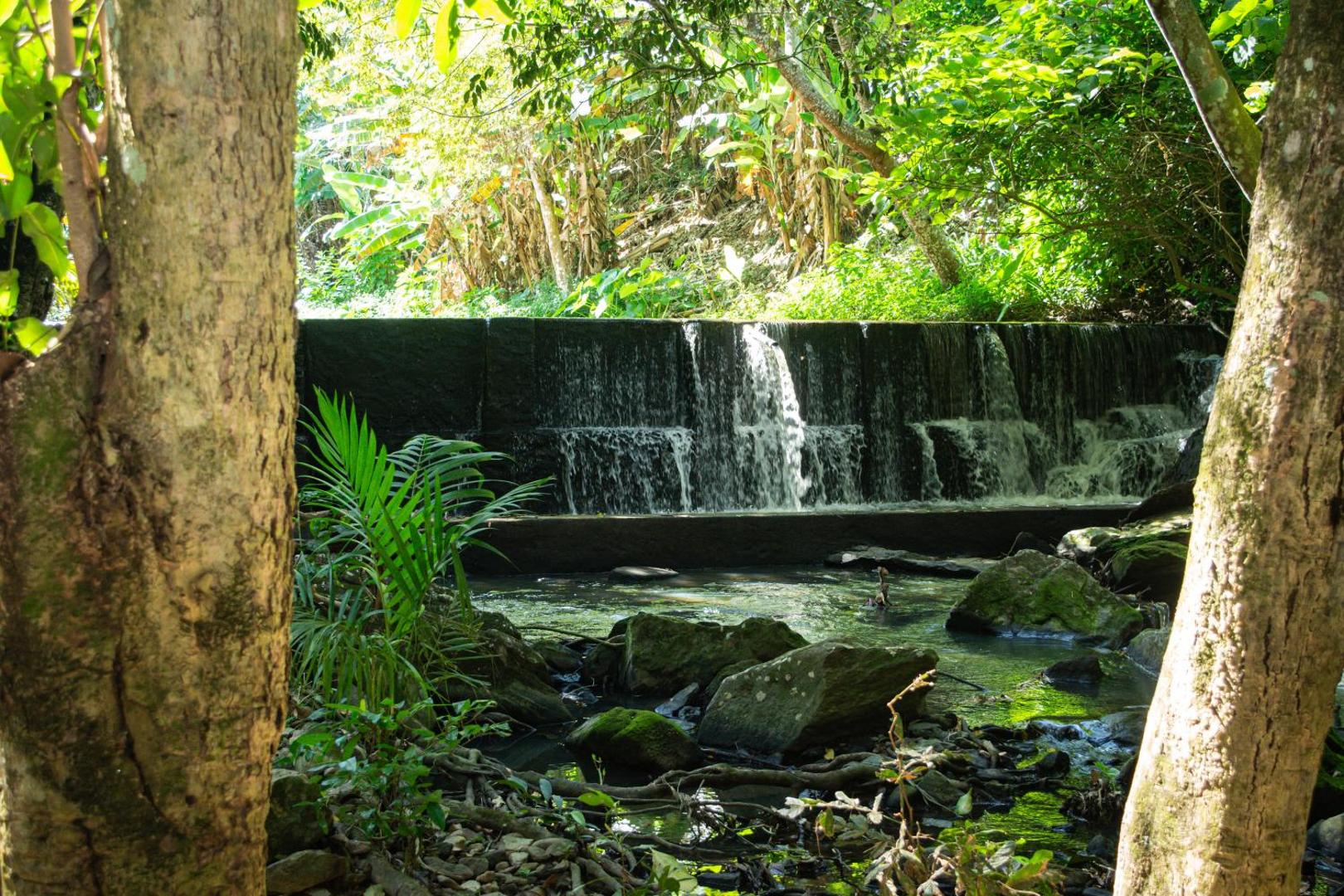 Saíra Recanto De Serra