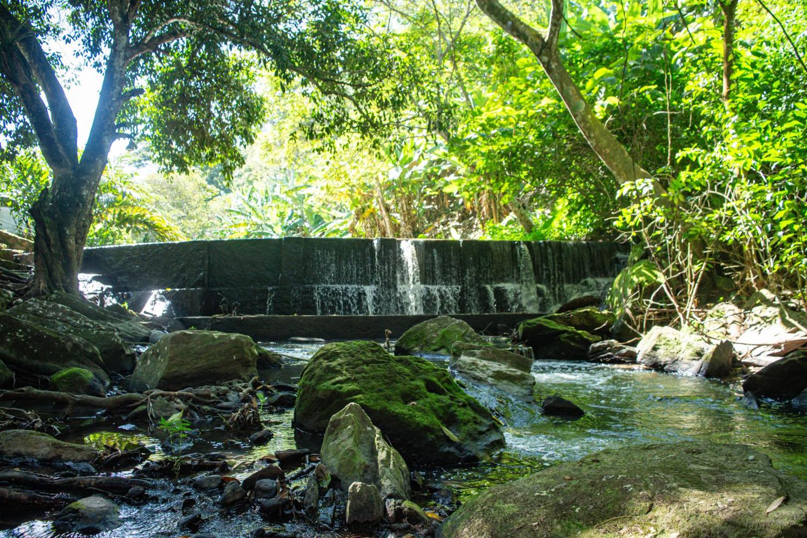 Saíra Recanto De Serra